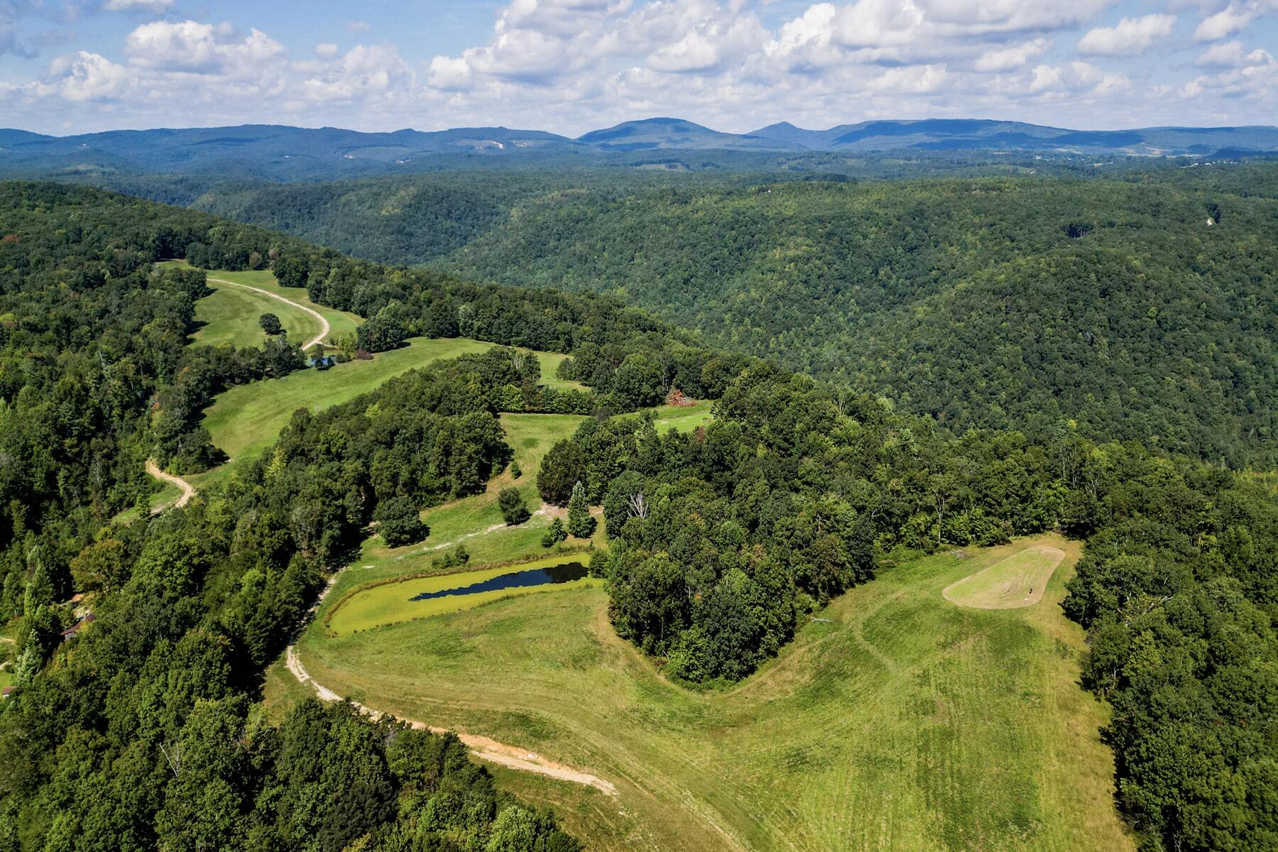 148 Lynn Roberts Lane, Spring City, Tennessee image 7