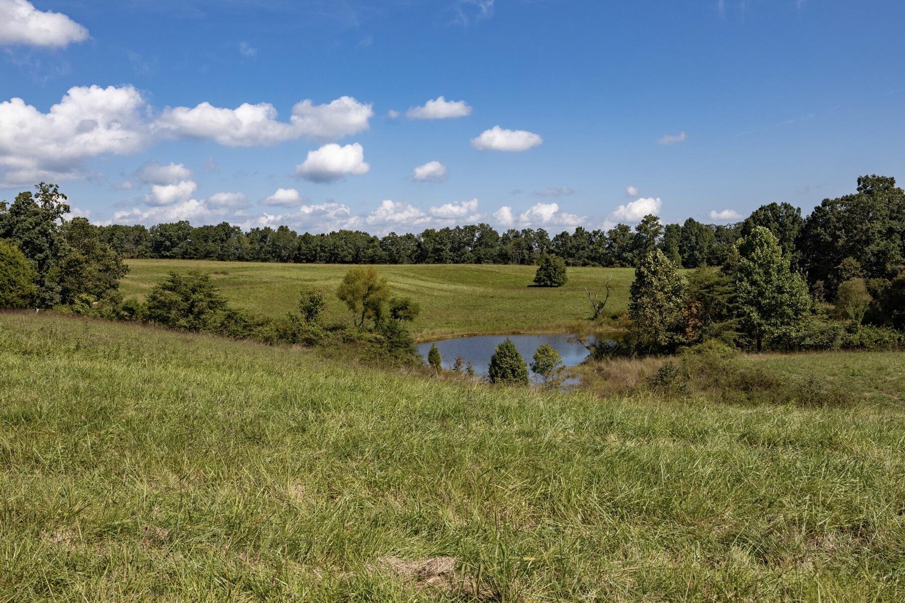 148 Lynn Roberts Lane, Spring City, Tennessee image 22