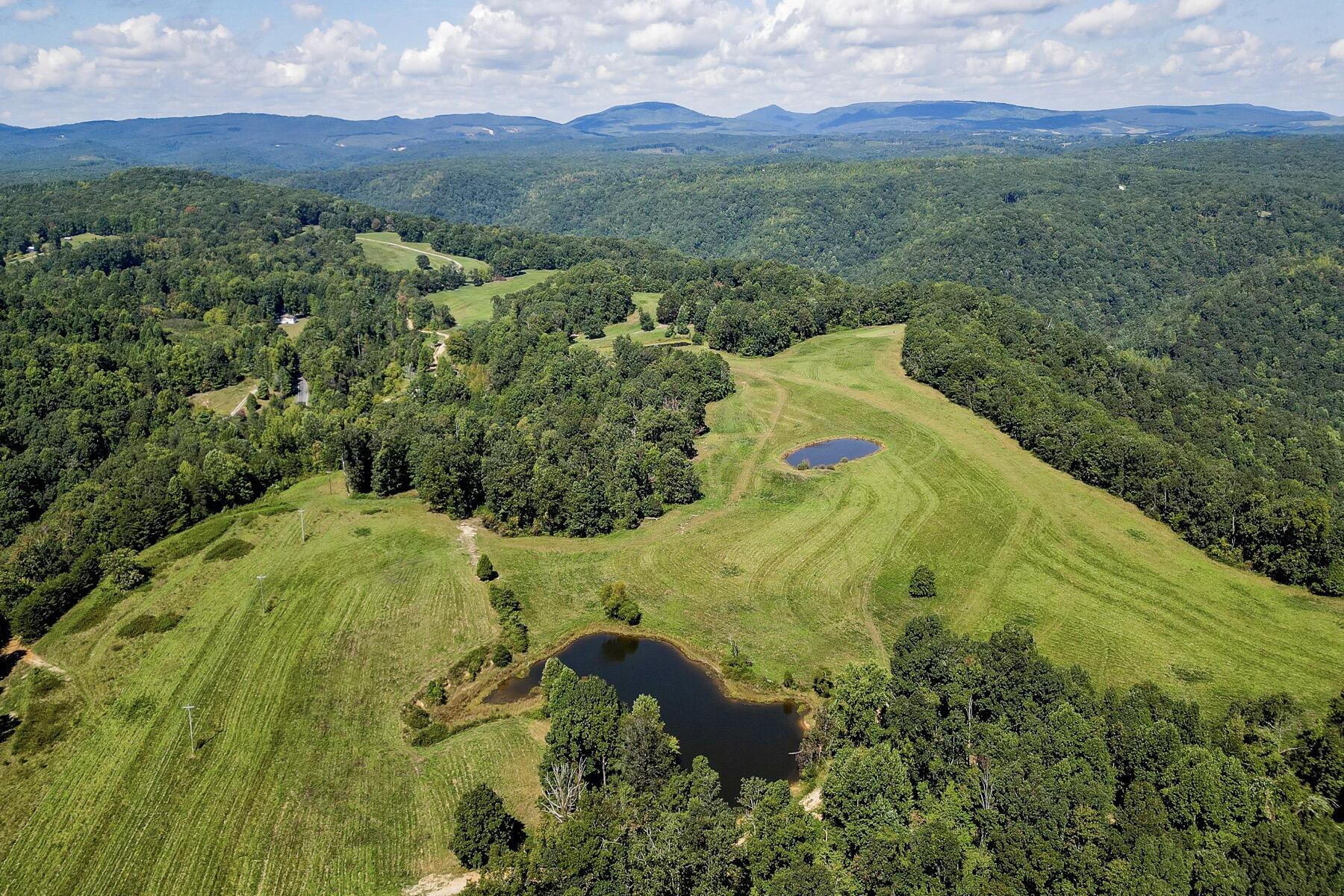 148 Lynn Roberts Lane, Spring City, Tennessee image 4