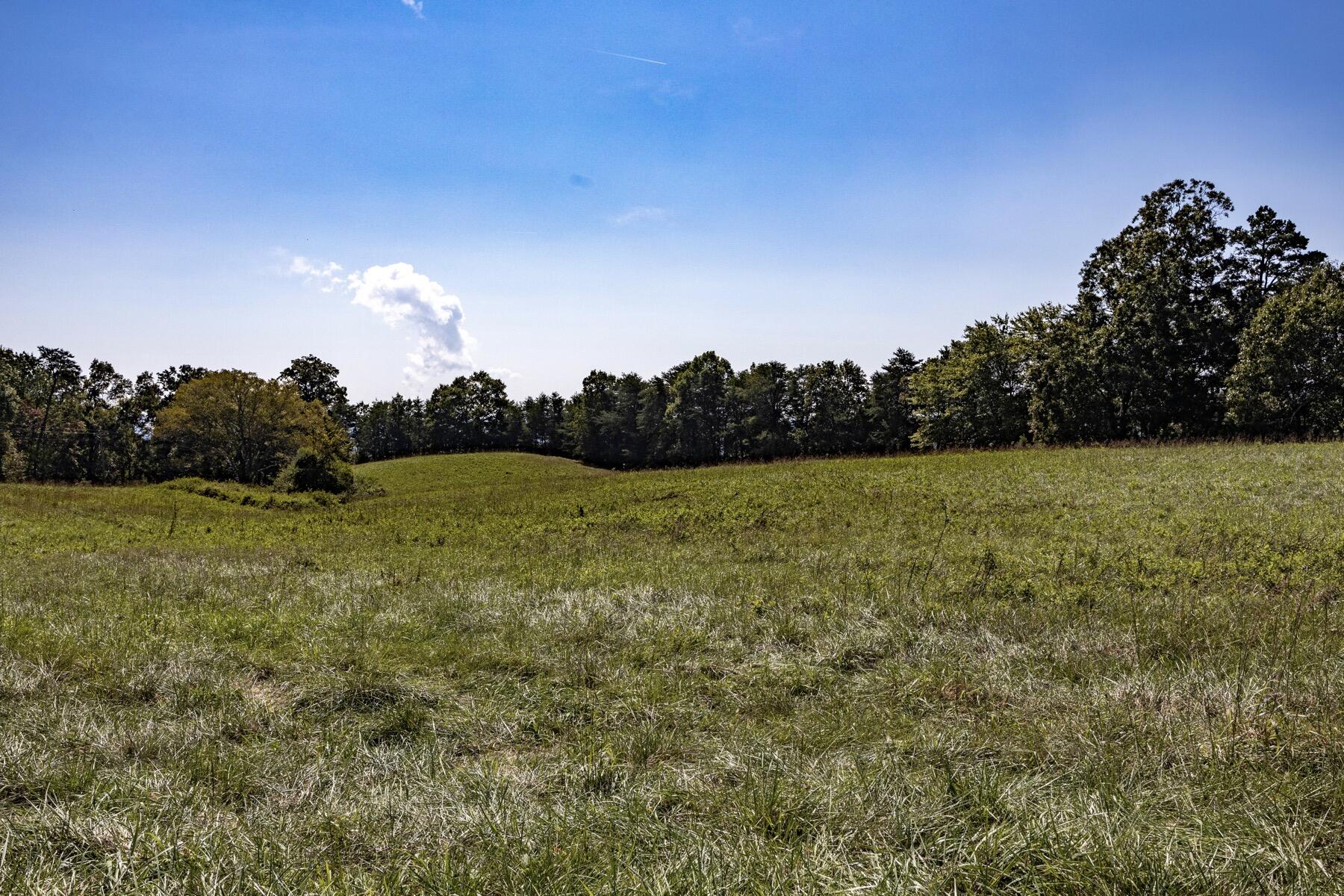 148 Lynn Roberts Lane, Spring City, Tennessee image 21