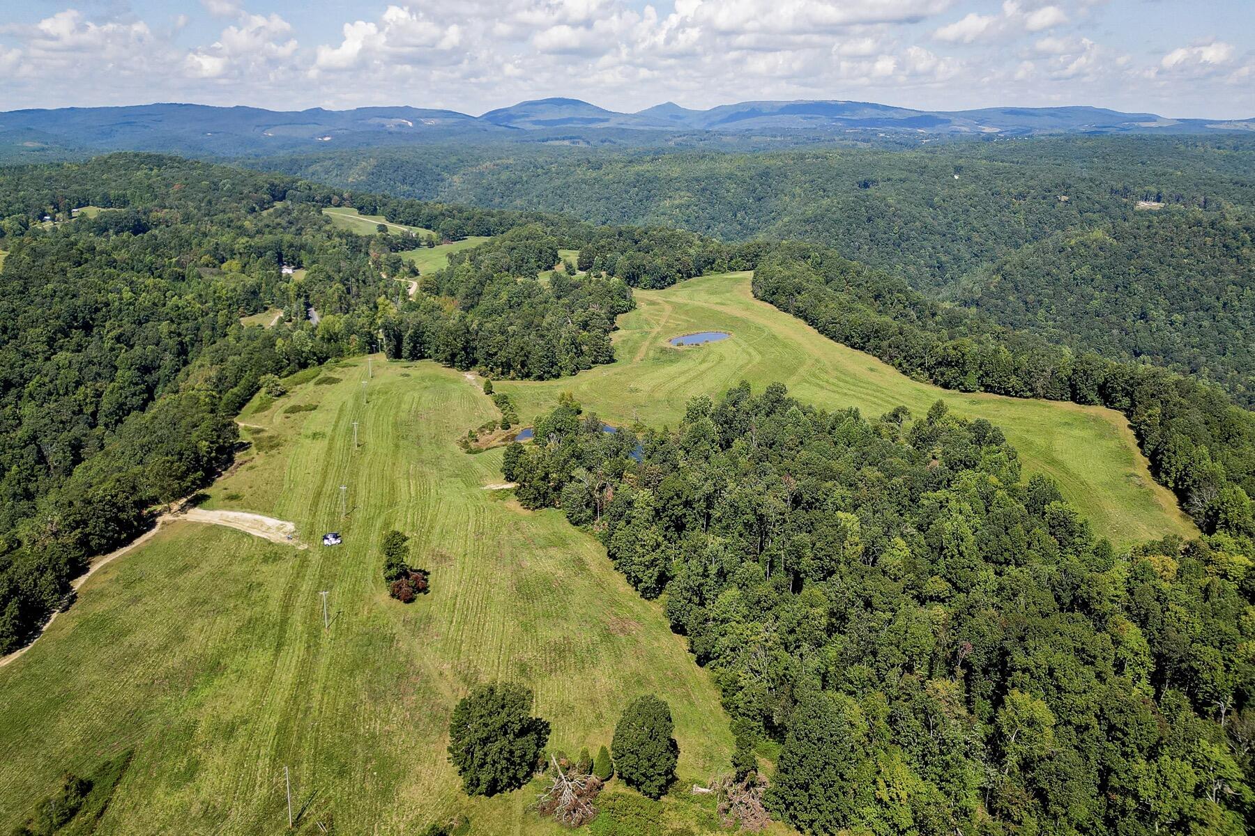 148 Lynn Roberts Lane, Spring City, Tennessee image 3