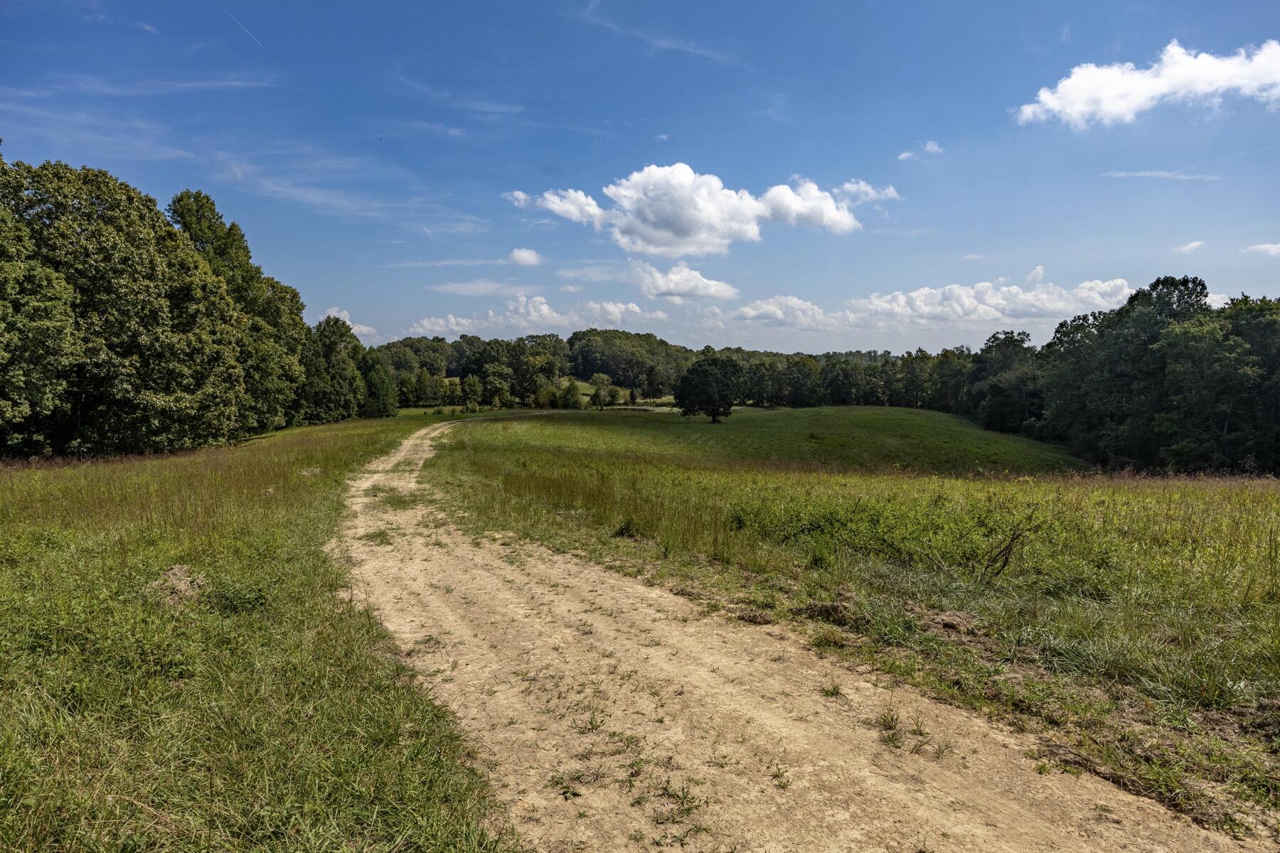 148 Lynn Roberts Lane, Spring City, Tennessee image 30