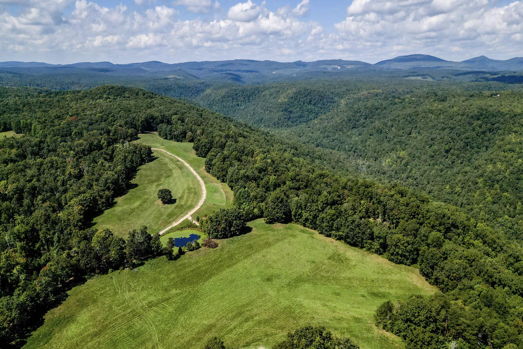 148 Lynn Roberts Lane, Spring City, Tennessee image 13