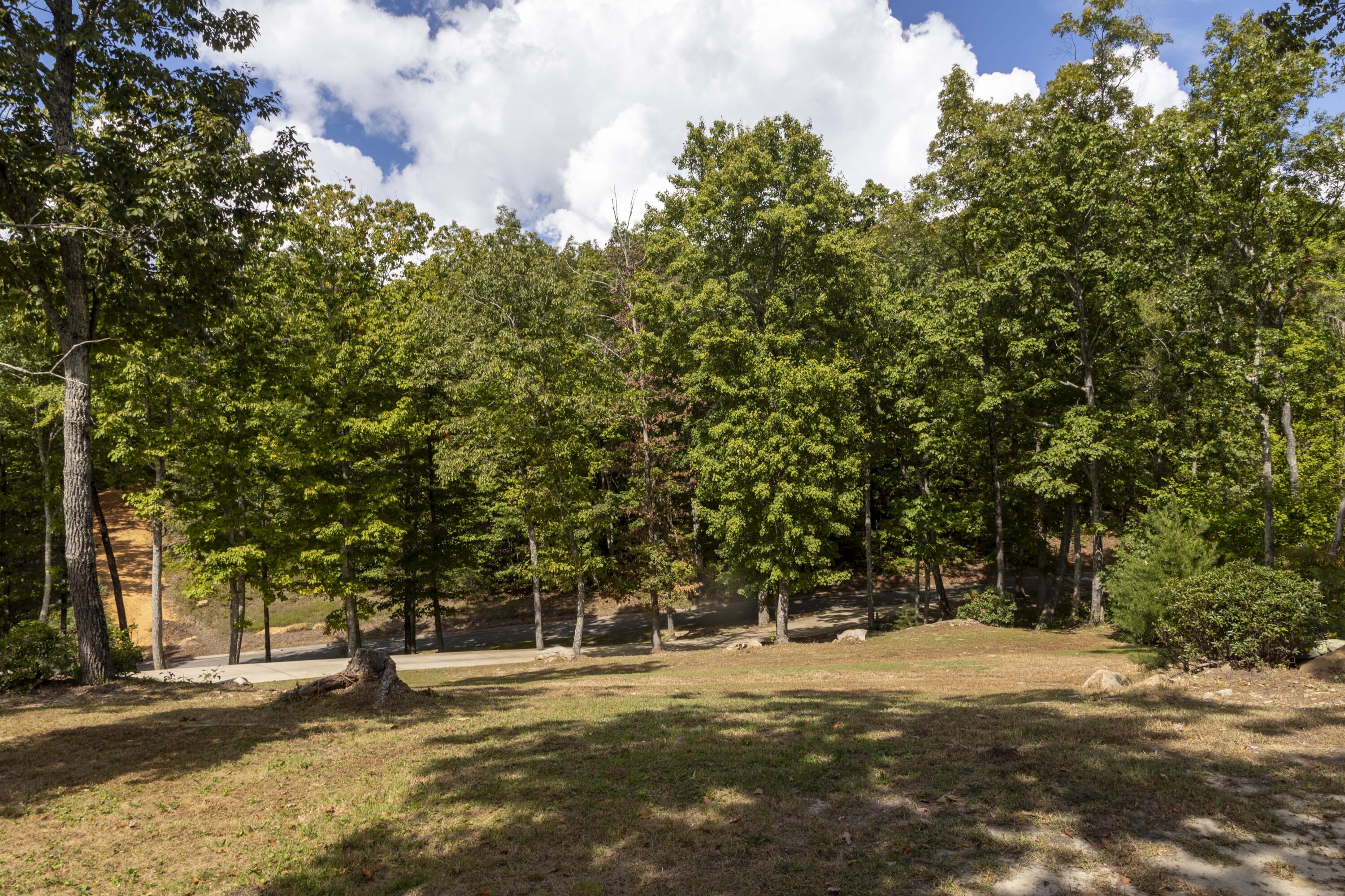1335 Escape Drive, Evensville, Tennessee image 8
