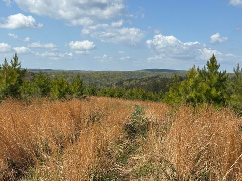 Photo of 07 Fredonia Road, Dunlap, TN 37327 (MLS # 1532768)