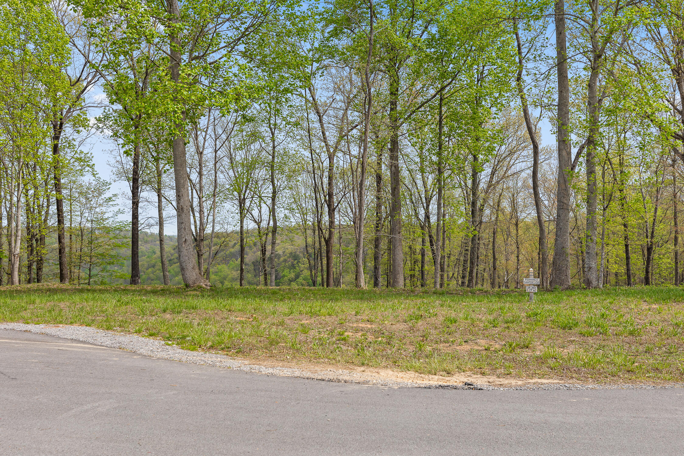 Volunteer Street #JF363, Jasper, Tennessee image 3