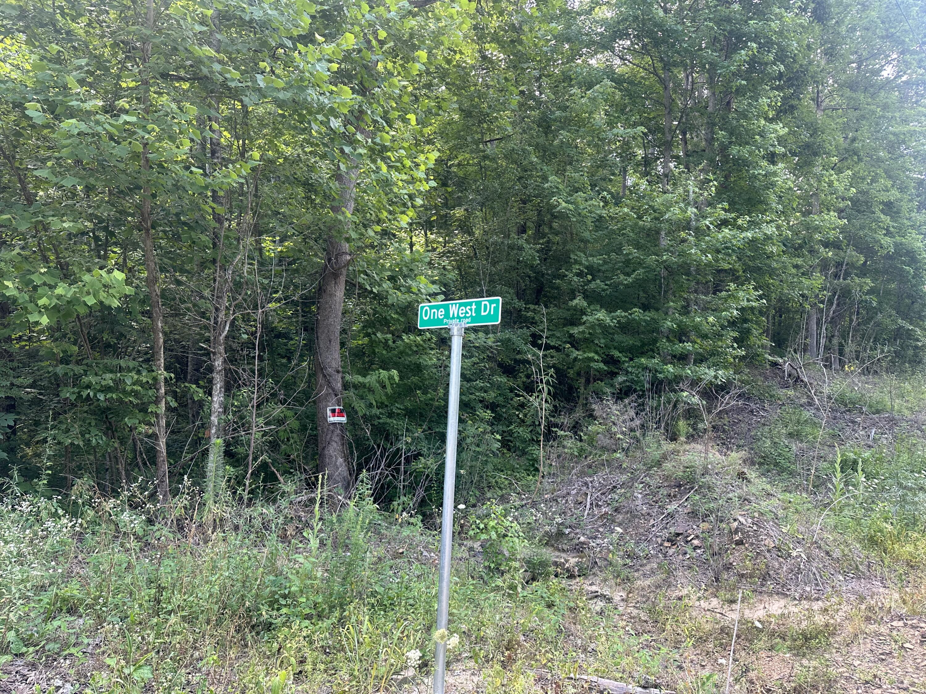 89 One West Drive Dr, Pikeville, Tennessee image 3