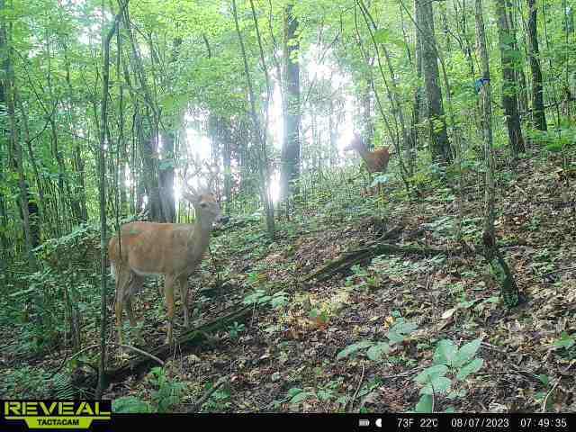 89 One West Drive Dr, Pikeville, Tennessee image 8