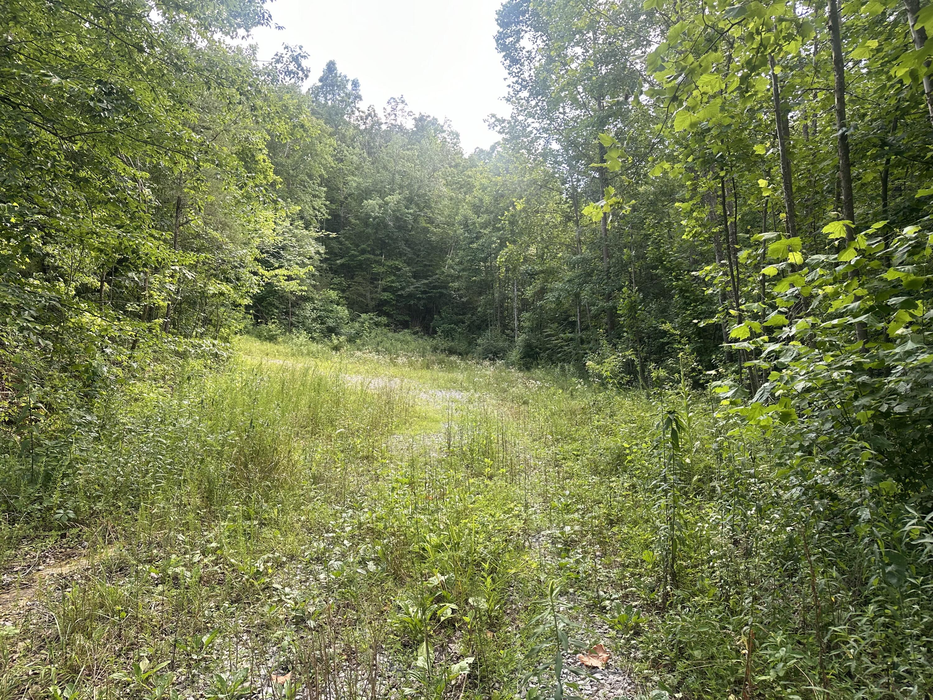 89 One West Drive Dr, Pikeville, Tennessee image 4