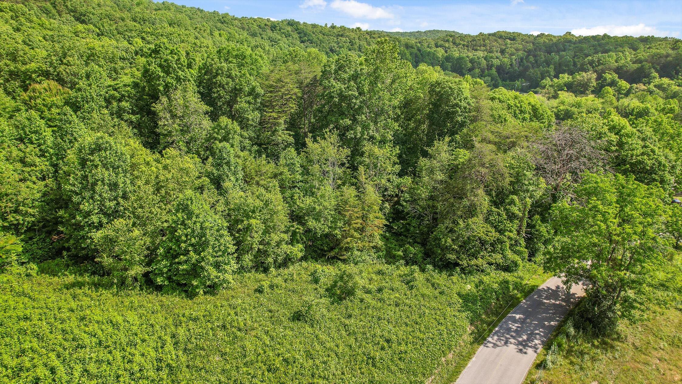 Whitwell, Tennessee 37397, United States, ,Land,Active,230841