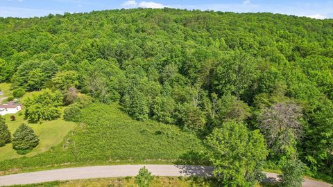 Vacant Land For Sale - 4300 Pocket Road<br/> Marion County, Whitwell, TN 37397