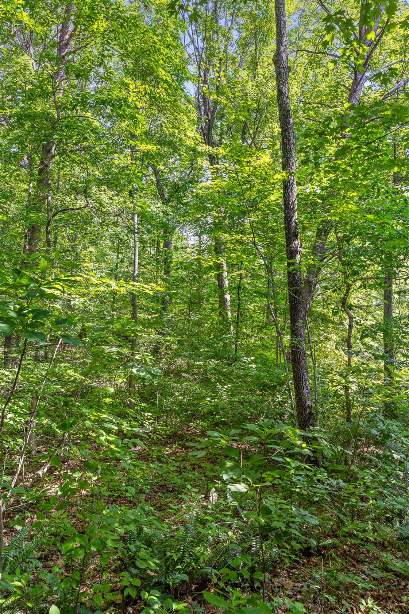 Whitwell, Tennessee 37397, United States, ,Land,Active,230841