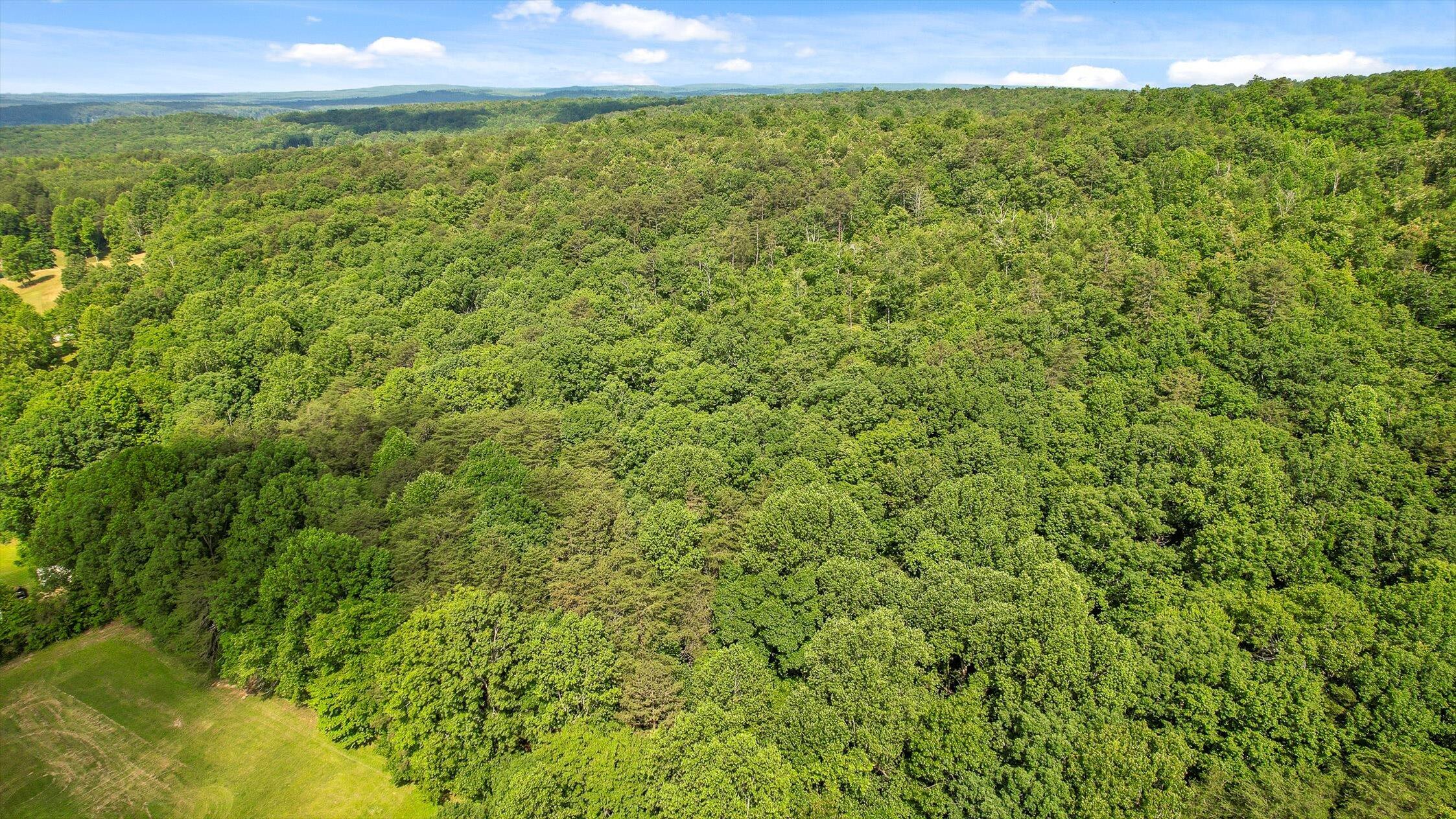 Whitwell, Tennessee 37397, United States, ,Land,Active,230841