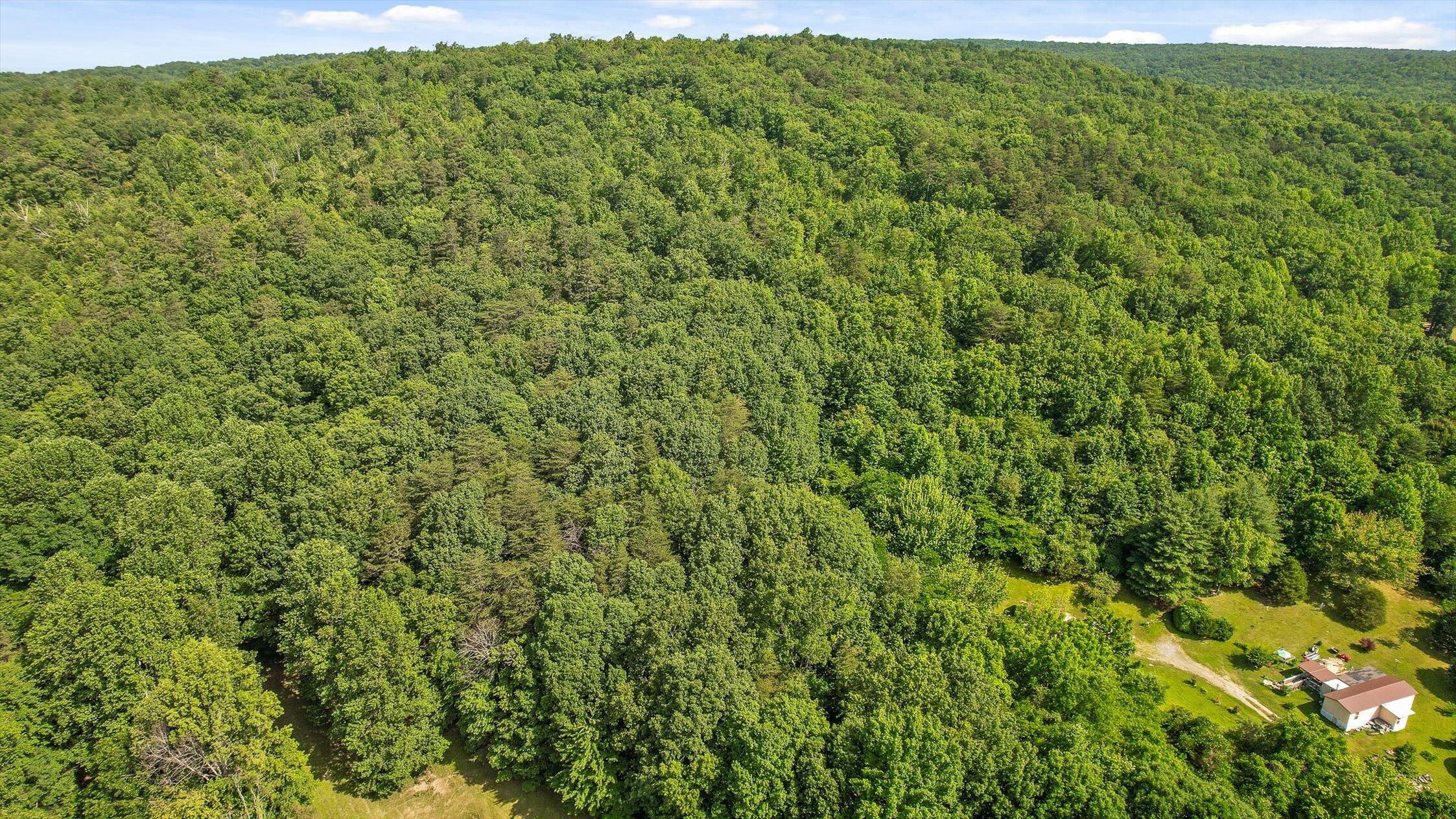 Whitwell, Tennessee 37397, United States, ,Land,Active,230841