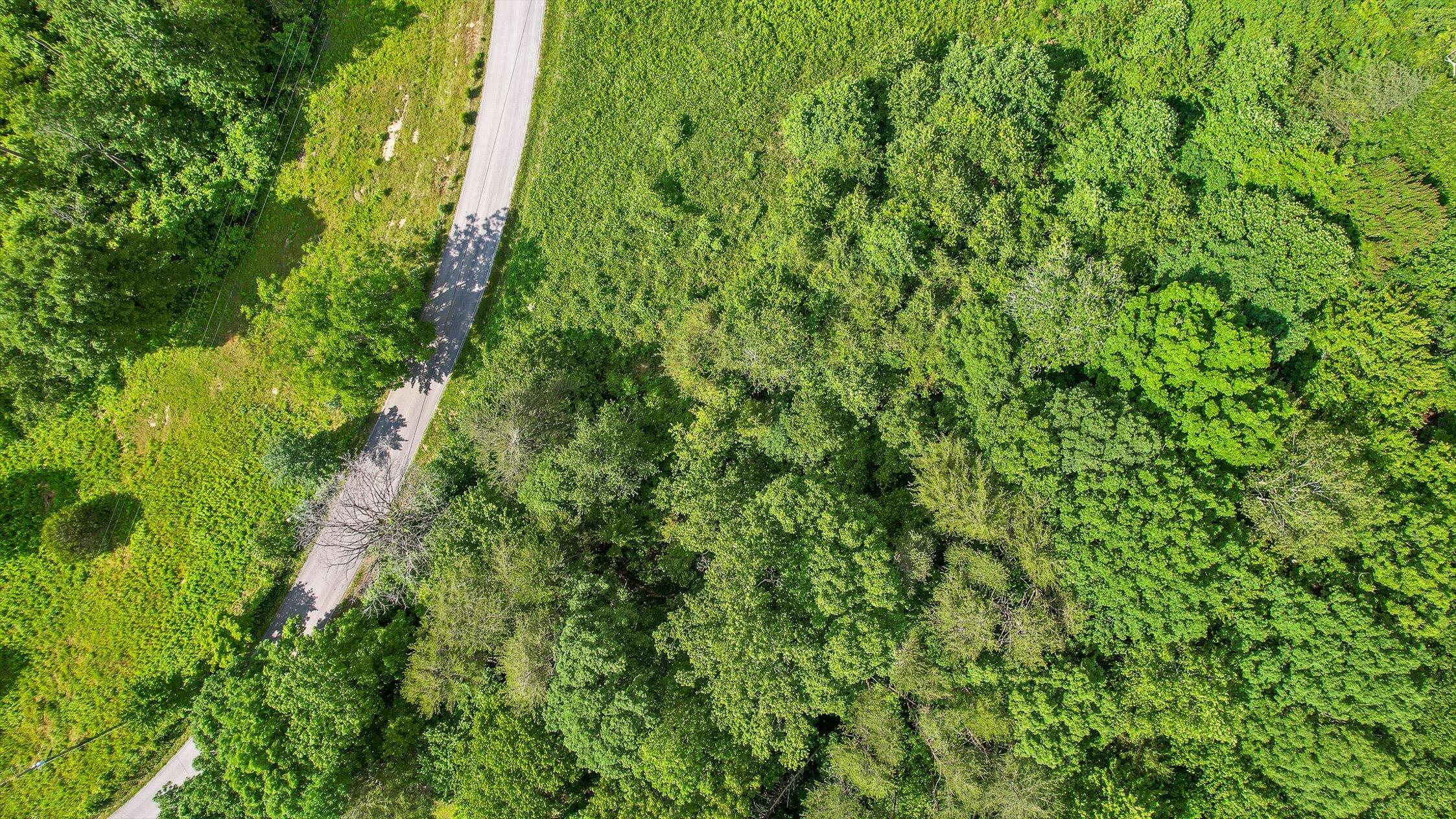 Whitwell, Tennessee 37397, United States, ,Land,Active,230841