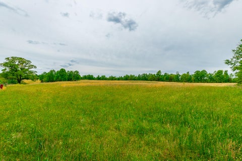 Vacant Land For Sale - Ray Gadd Road<br/> Graysville, TN 37338