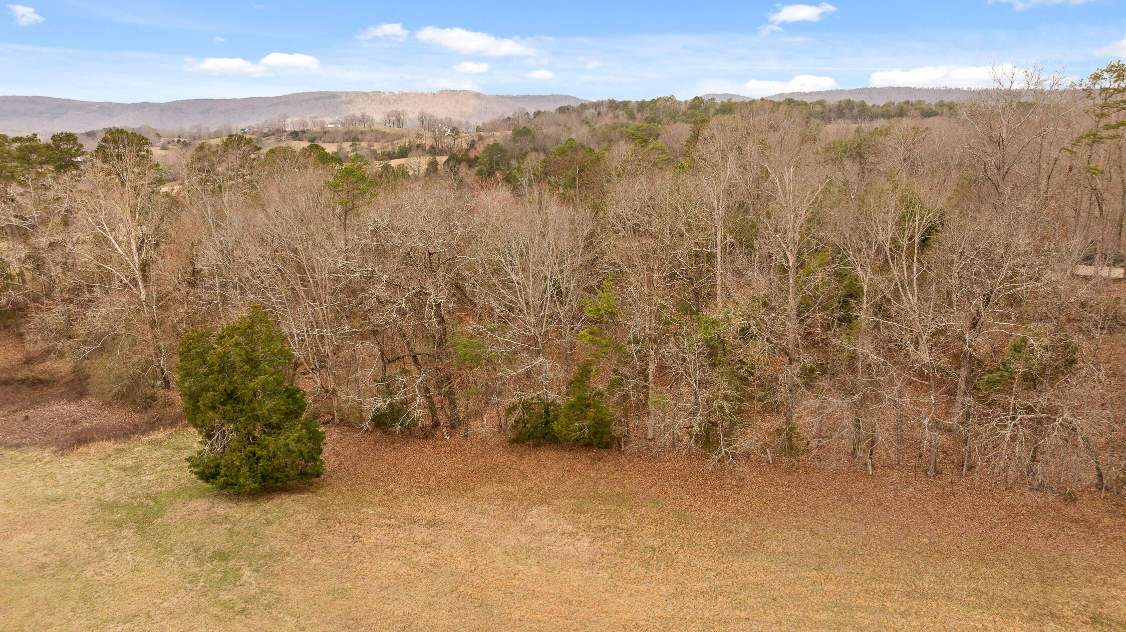 14008 Stormer Road, Sale Creek, Tennessee image 13