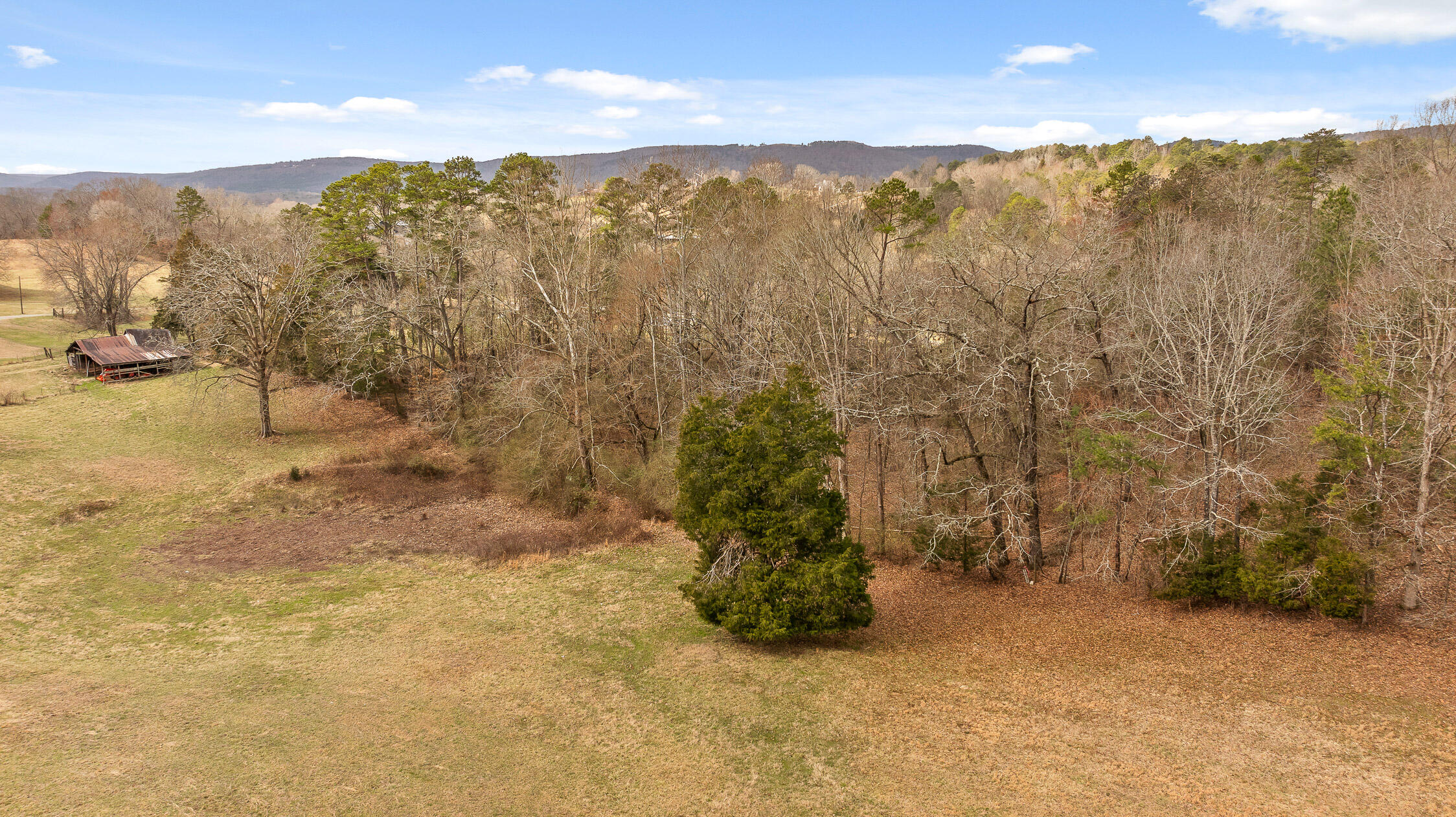 14008 Stormer Road, Sale Creek, Tennessee image 21