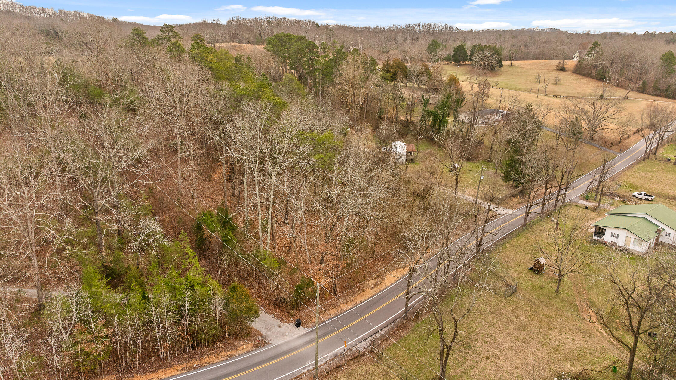 14008 Stormer Road, Sale Creek, Tennessee image 7