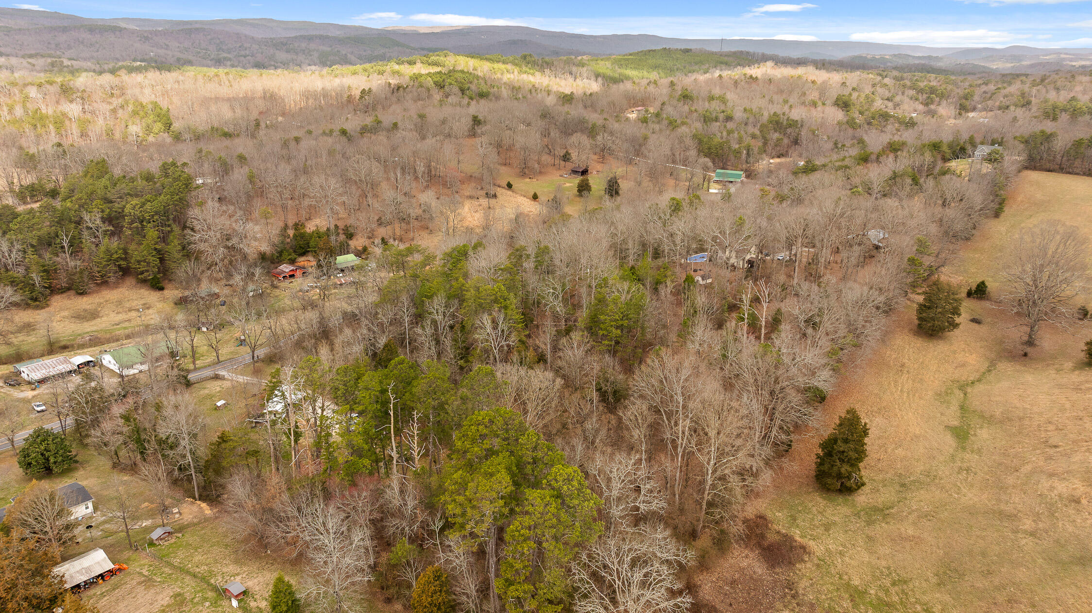 14008 Stormer Road, Sale Creek, Tennessee image 14