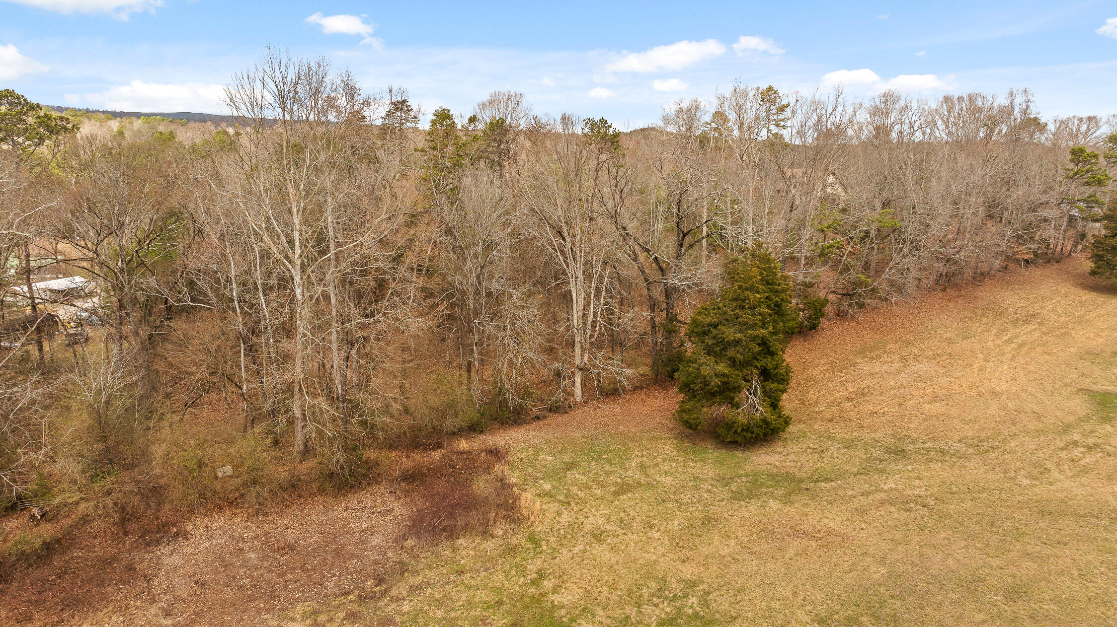 14008 Stormer Road, Sale Creek, Tennessee image 18