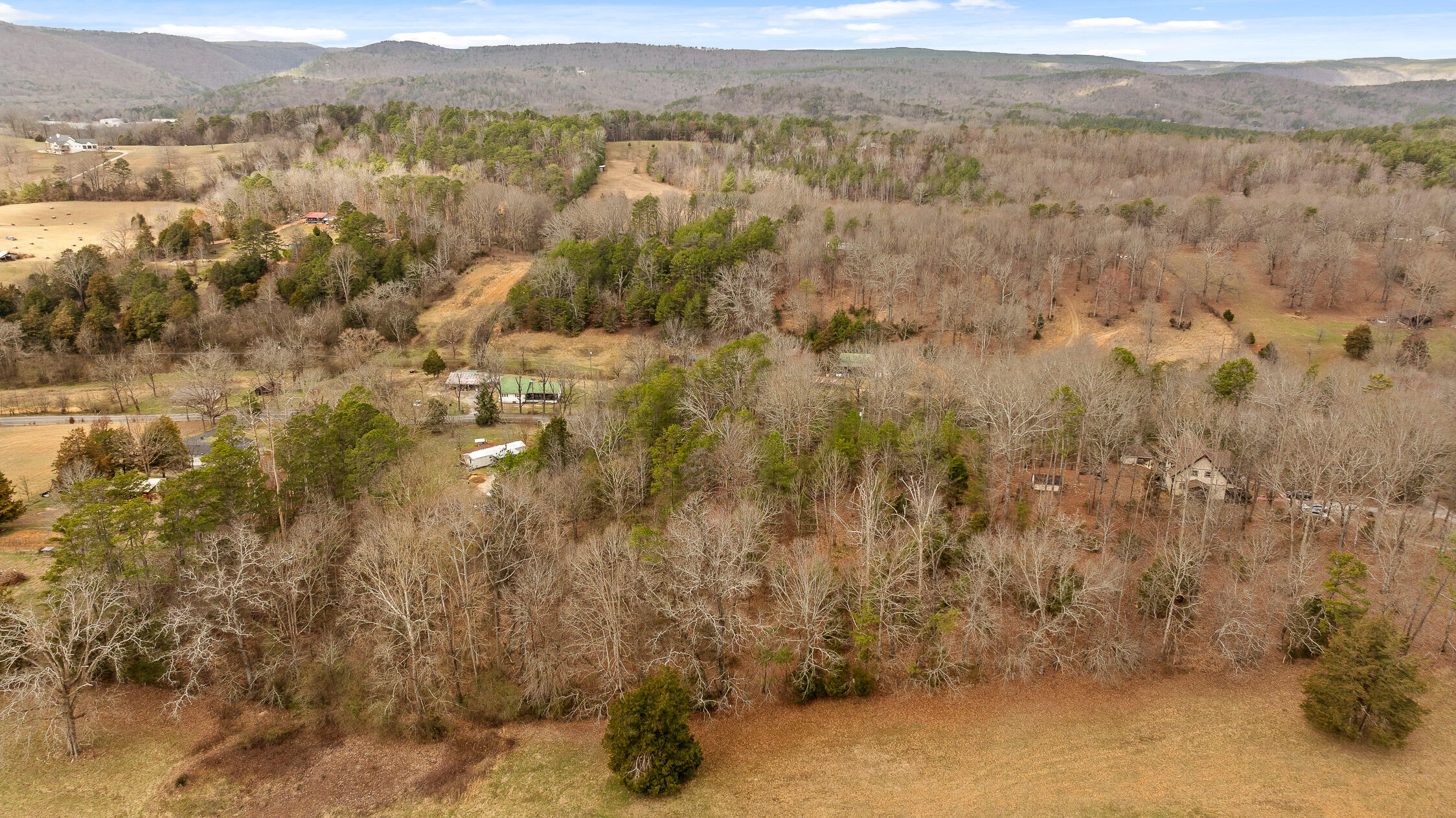 14008 Stormer Road, Sale Creek, Tennessee image 22