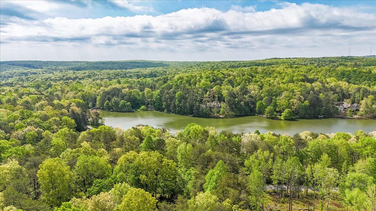 8981 Big Bend Road #TRACT D, Signal Mountain, Tennessee image 16