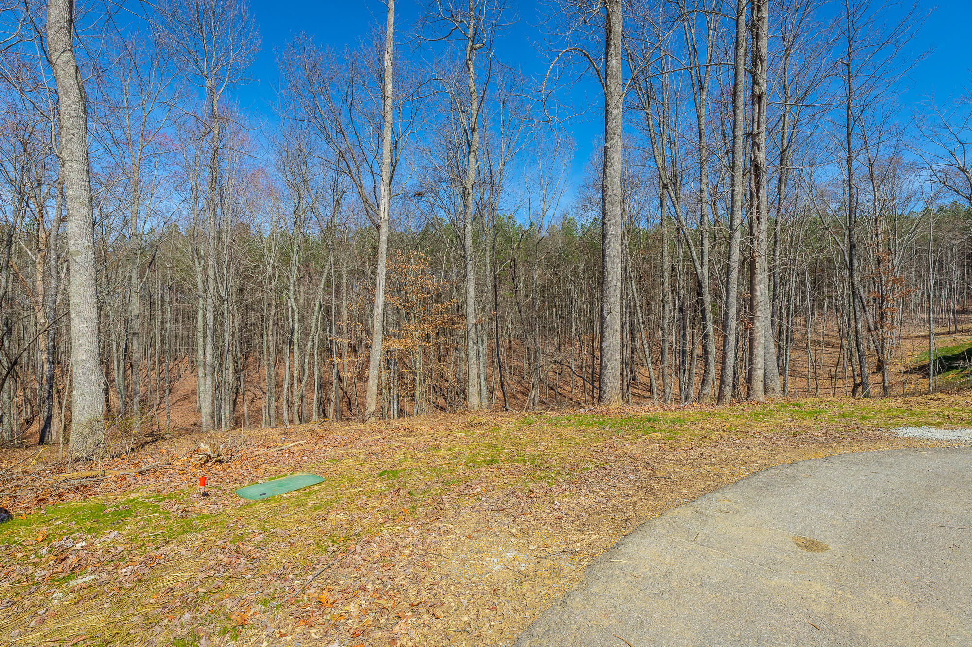 0 Moonlight Lane Jf437