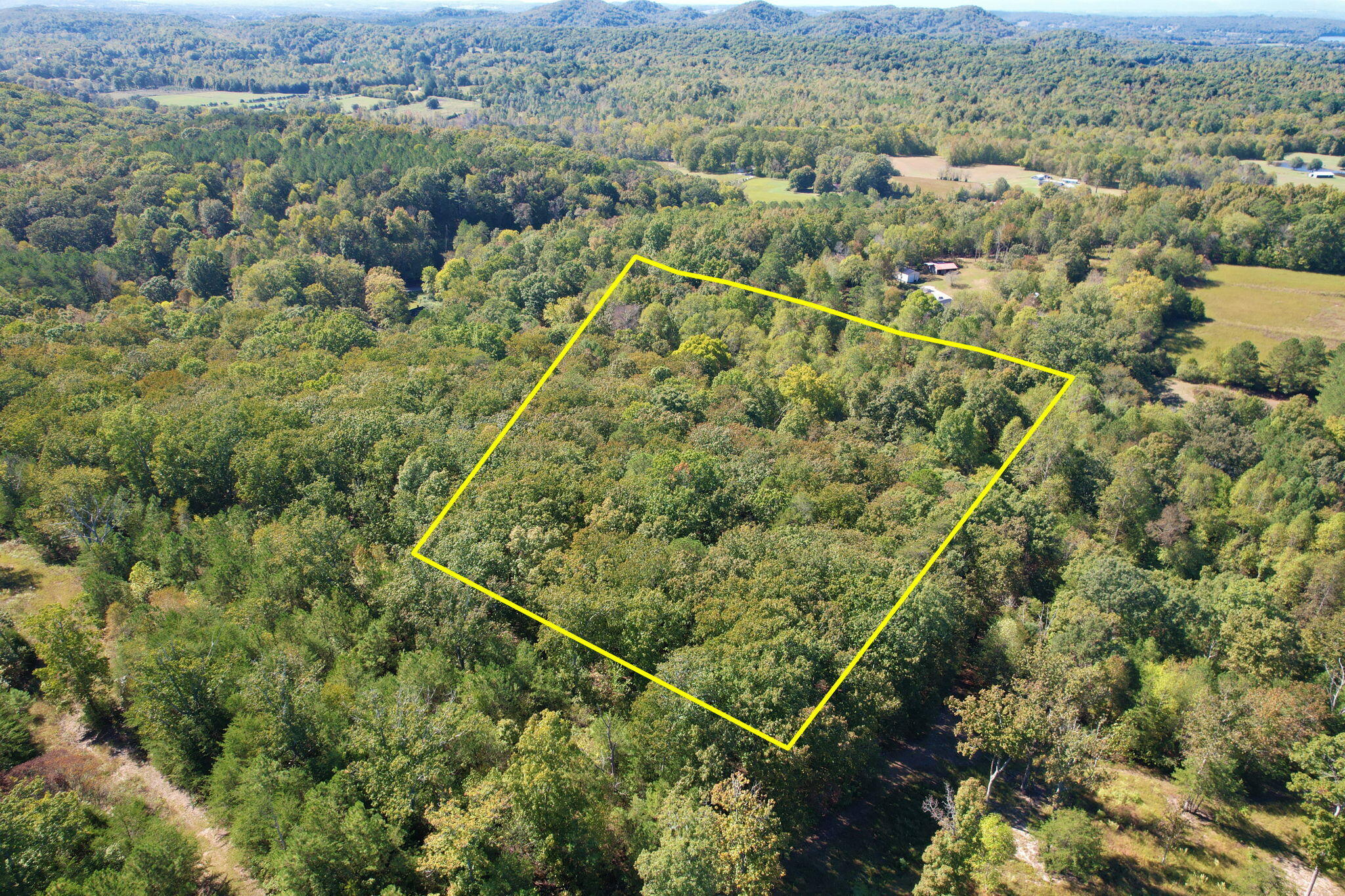 Lot 3 Eads Bluff Road, Georgetown, Tennessee image 6