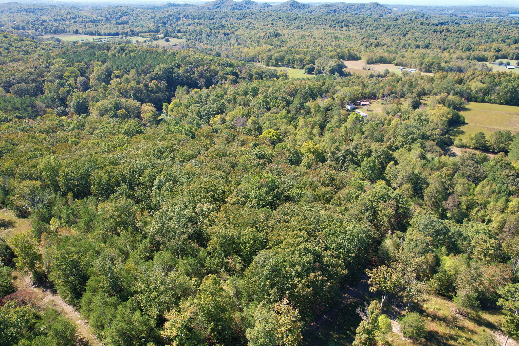 Lot 3 Eads Bluff Road, Georgetown, Tennessee image 12