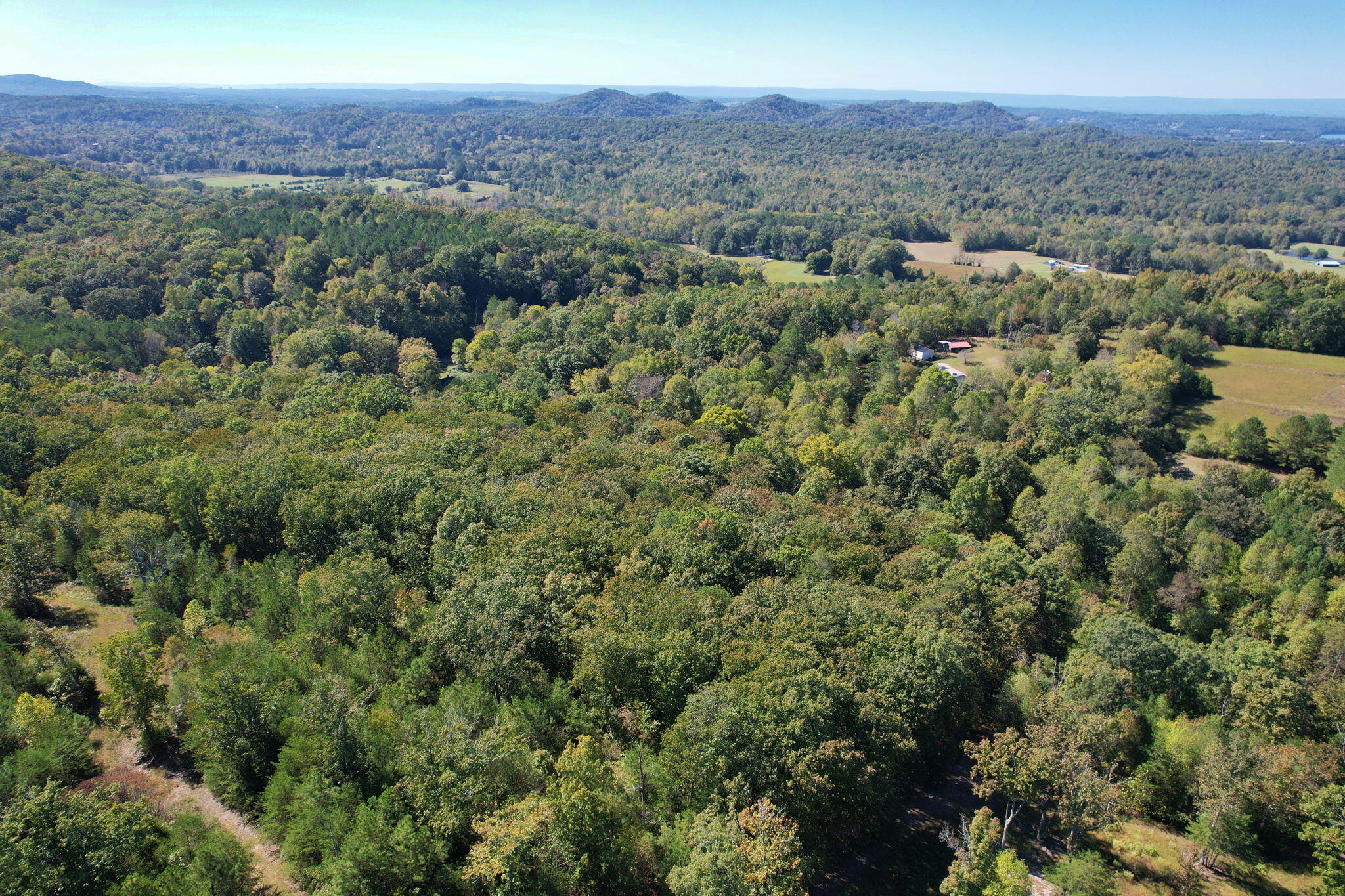 Lot 3 Eads Bluff Road, Georgetown, Tennessee image 13