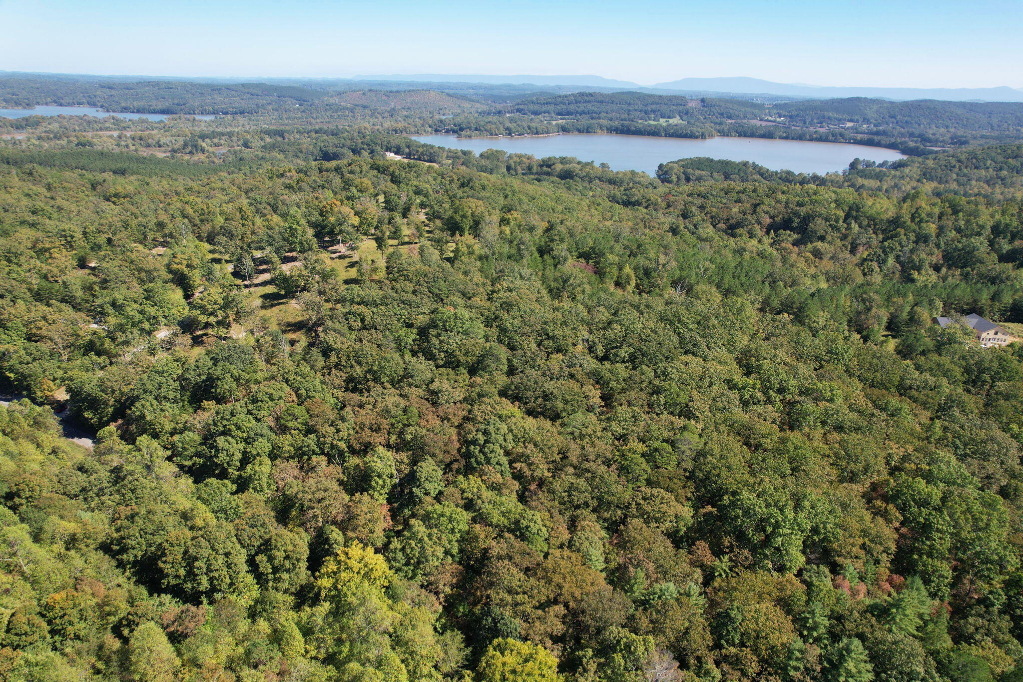 Lot 3 Eads Bluff Road, Georgetown, Tennessee image 10