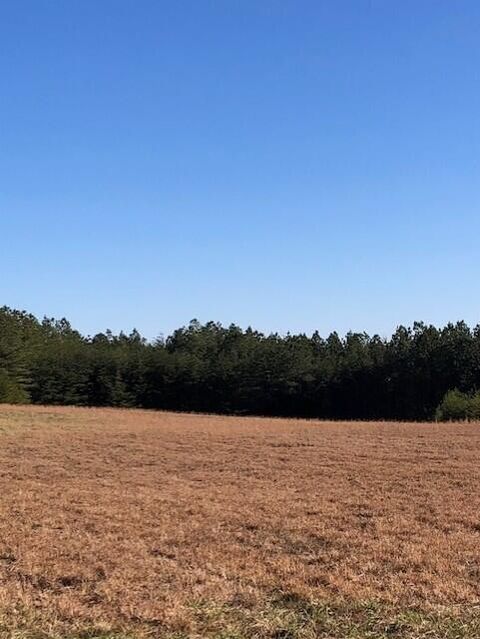 Photo of 5734 Us-127, Signal Mountain, TN 37377 (MLS # 1507968)