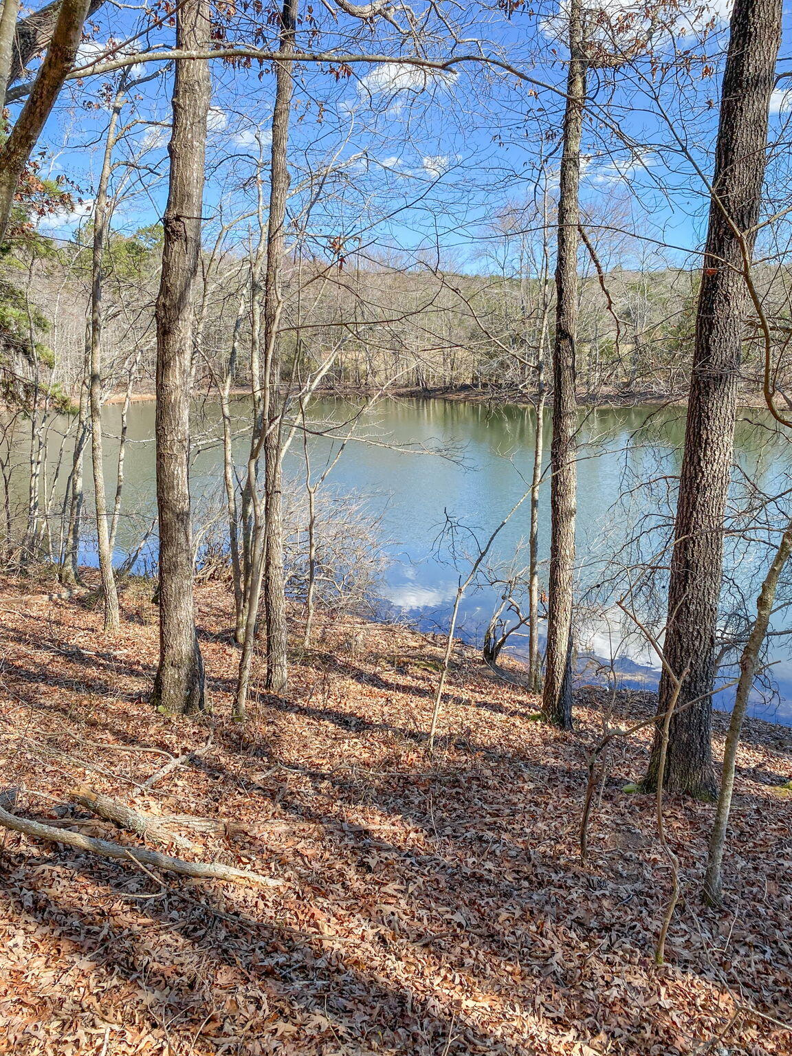 Birchwood Pike, Harrison, Tennessee image 3