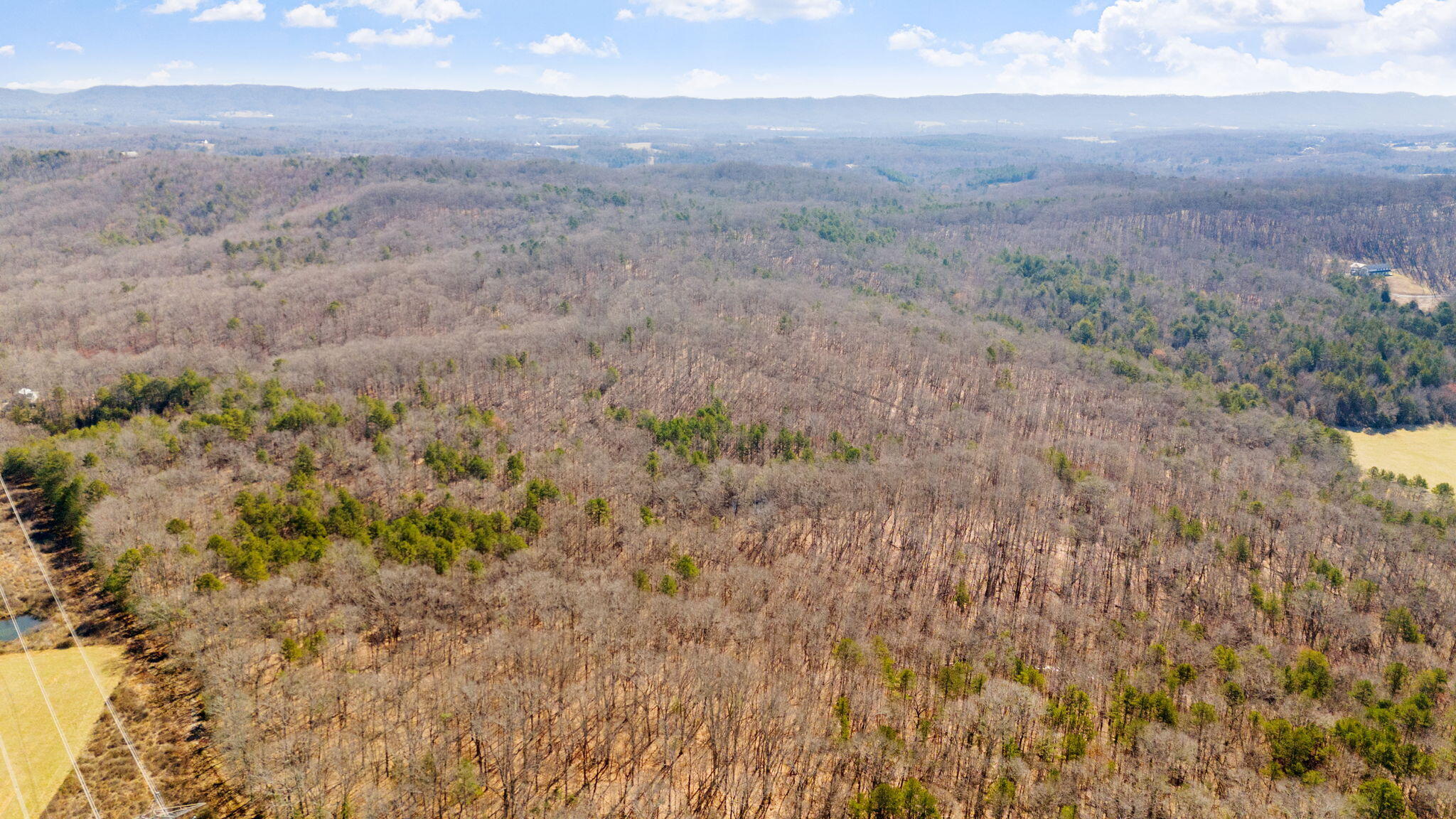 Birchwood Pike, Harrison, Tennessee image 25
