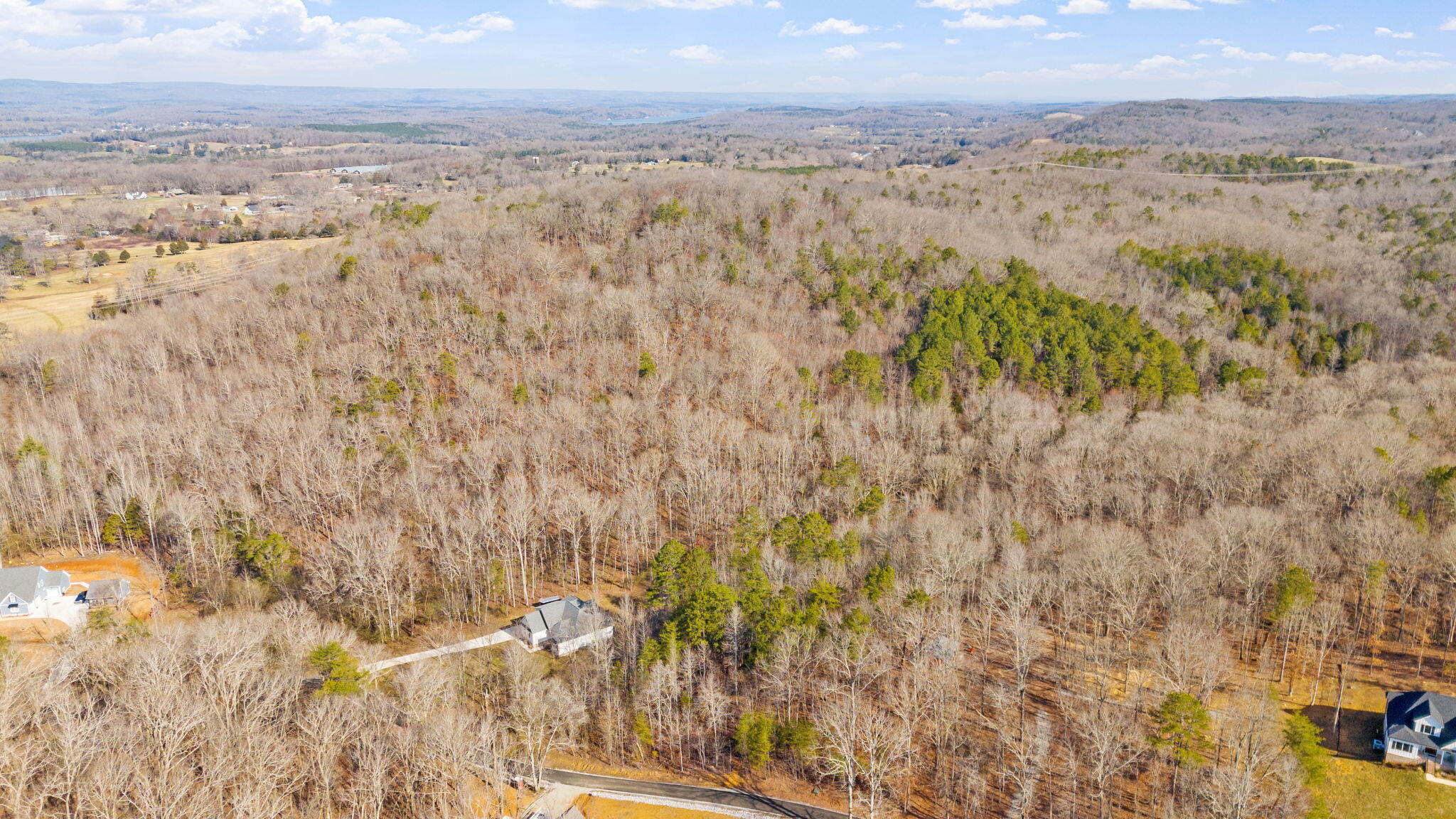 Birchwood Pike, Harrison, Tennessee image 30
