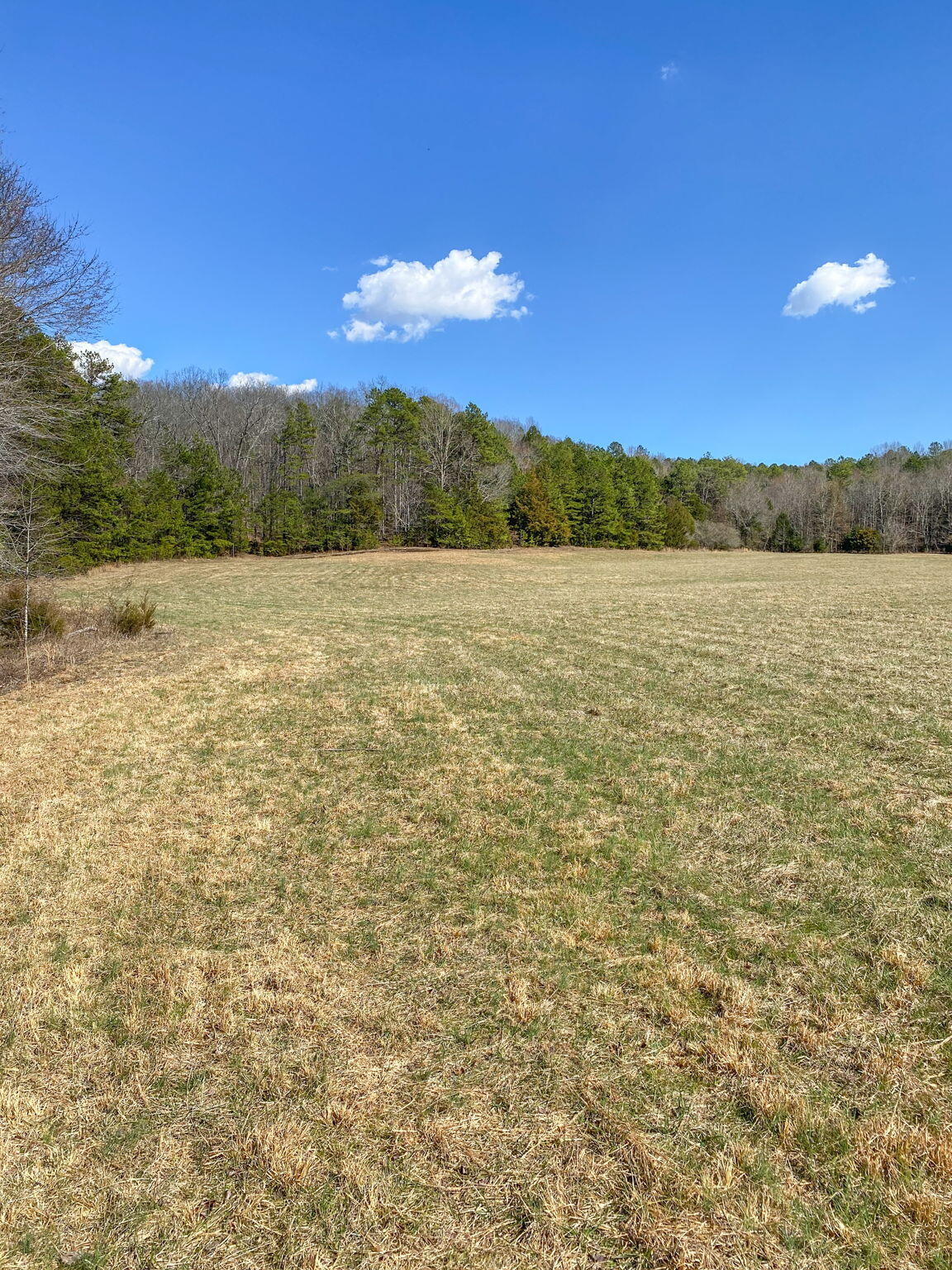 Birchwood Pike, Harrison, Tennessee image 11
