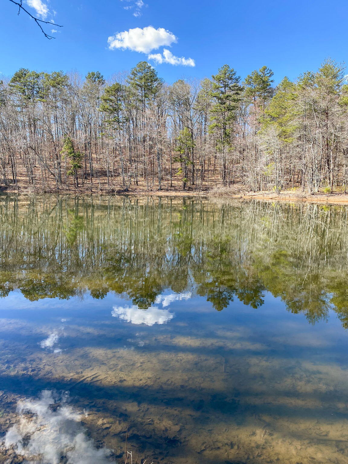 Birchwood Pike, Harrison, Tennessee image 2