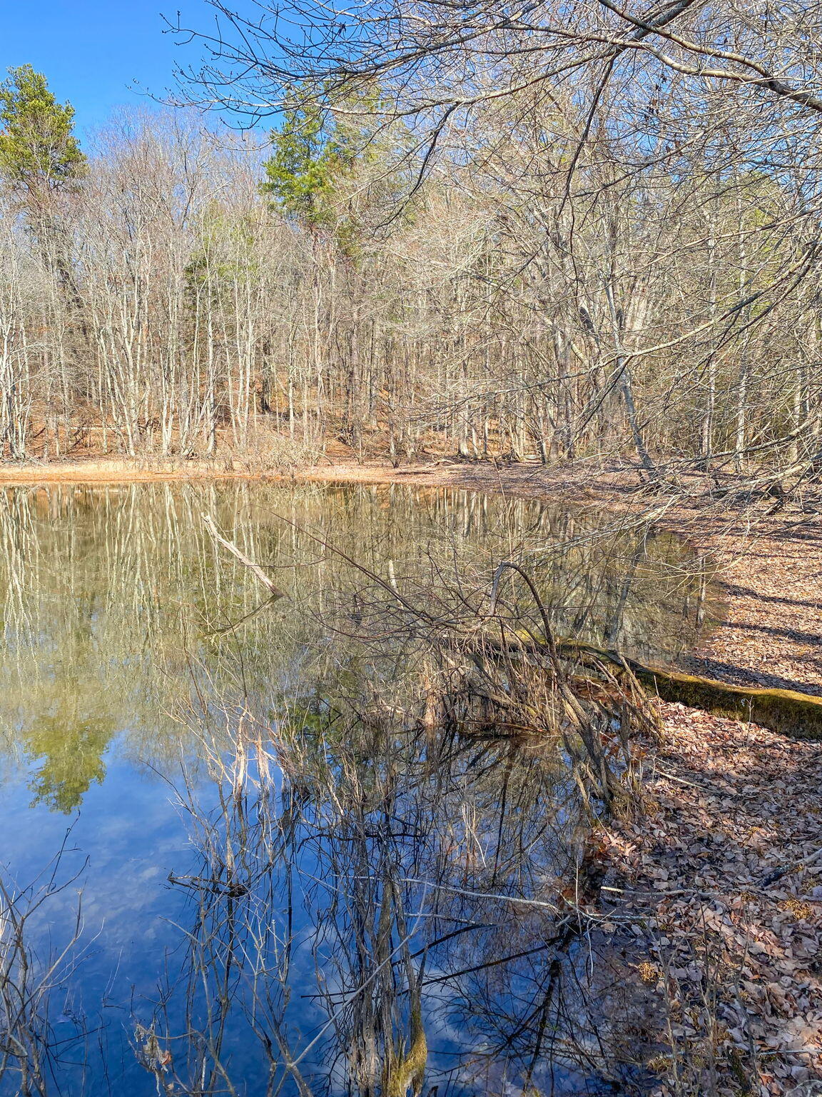 Birchwood Pike, Harrison, Tennessee image 5