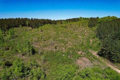 Photo of 0 Sneed Road, Decatur, TN 37322 (MLS # 1532336) Photo of 0 Sneed Road, Decatur, TN 37322 (MLS # 1532336)