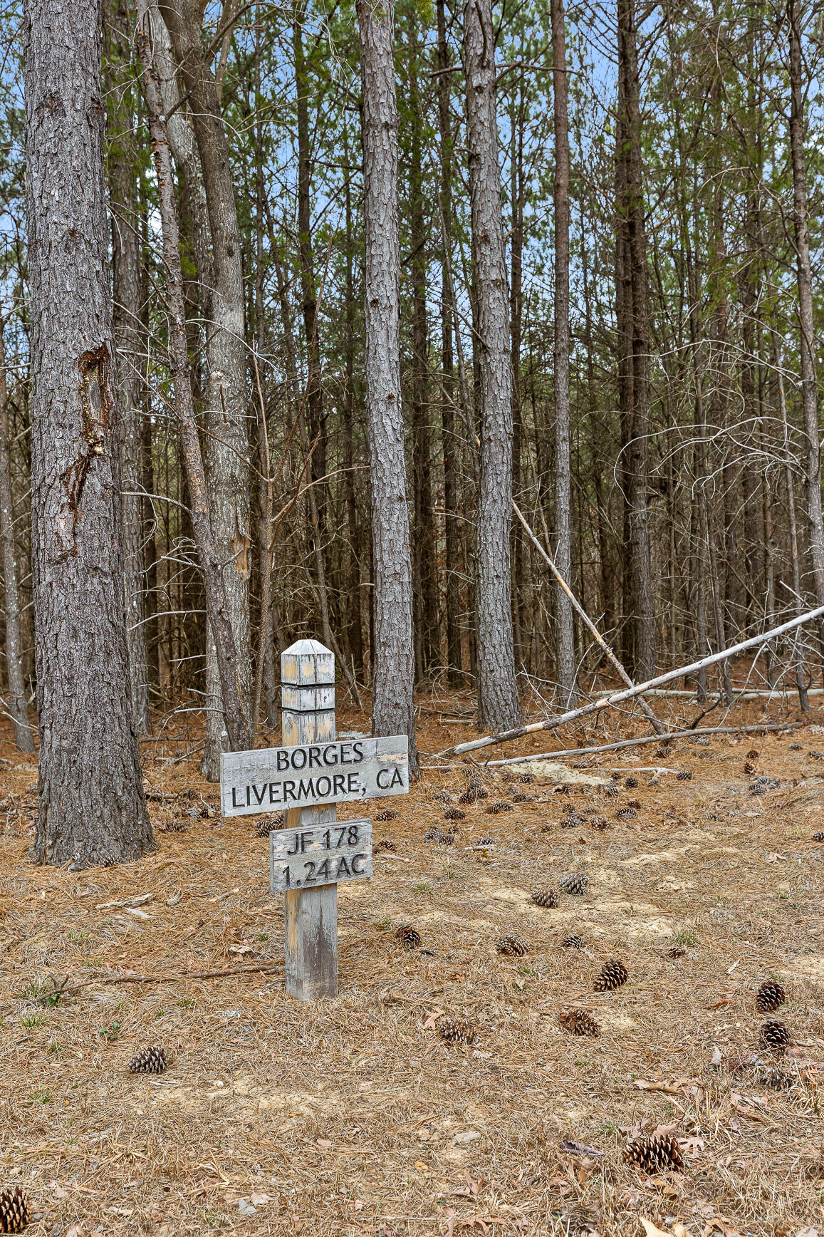 Crockett Point #jf178 #JF-178, Jasper, Tennessee image 19