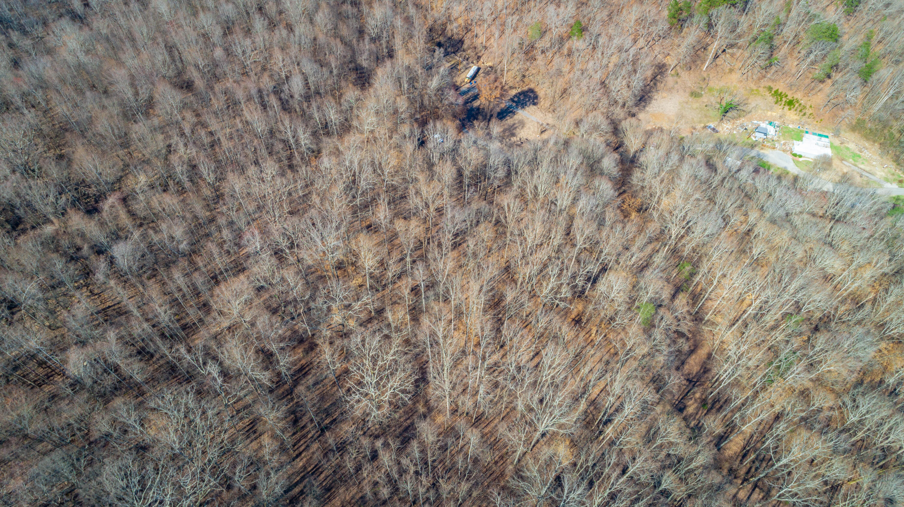 Waterfall 3.01 Road, Sequatchie, Tennessee image 17