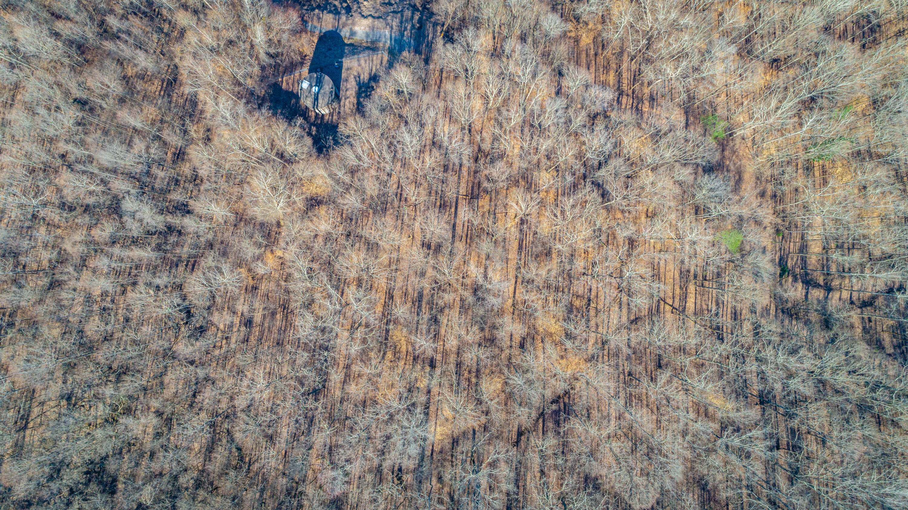 Waterfall 3.01 Road, Sequatchie, Tennessee image 15