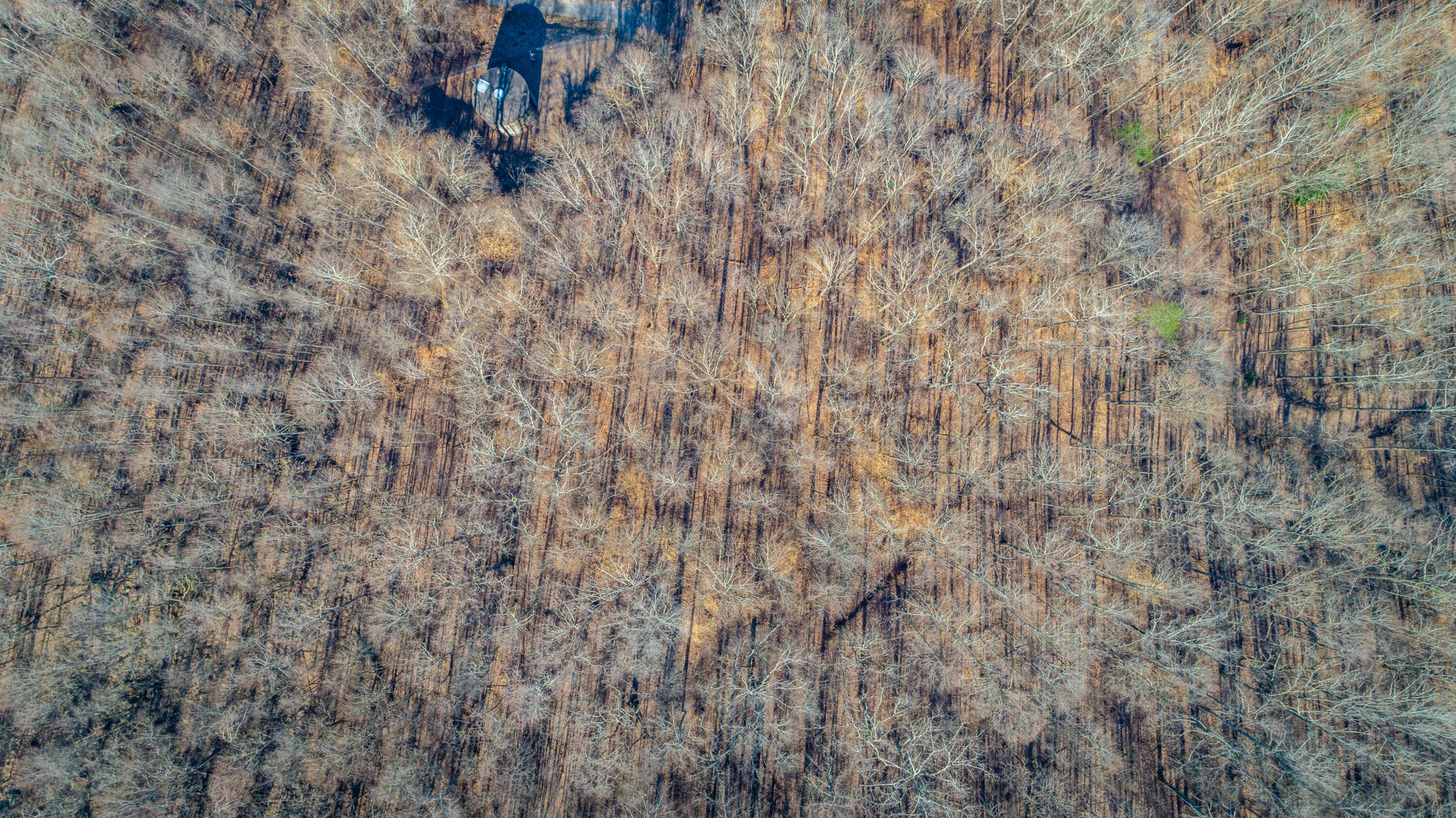 Waterfall 3.01 Road, Sequatchie, Tennessee image 16