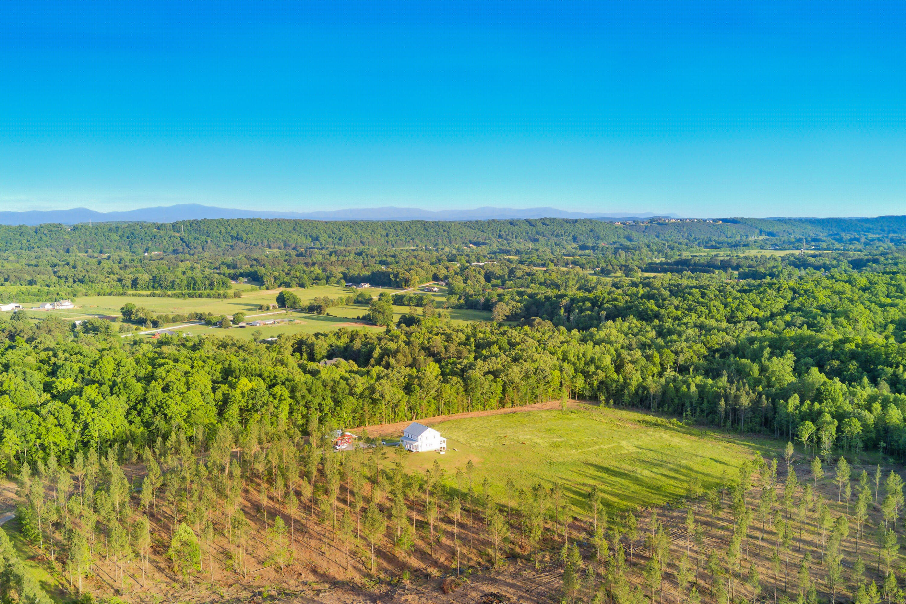 819 Morgan Road, Charleston, Tennessee image 33