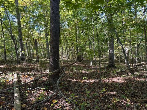 Photo of Lot351-354 Diana Drive, Spring City, TN 37381 (MLS # 1501851)