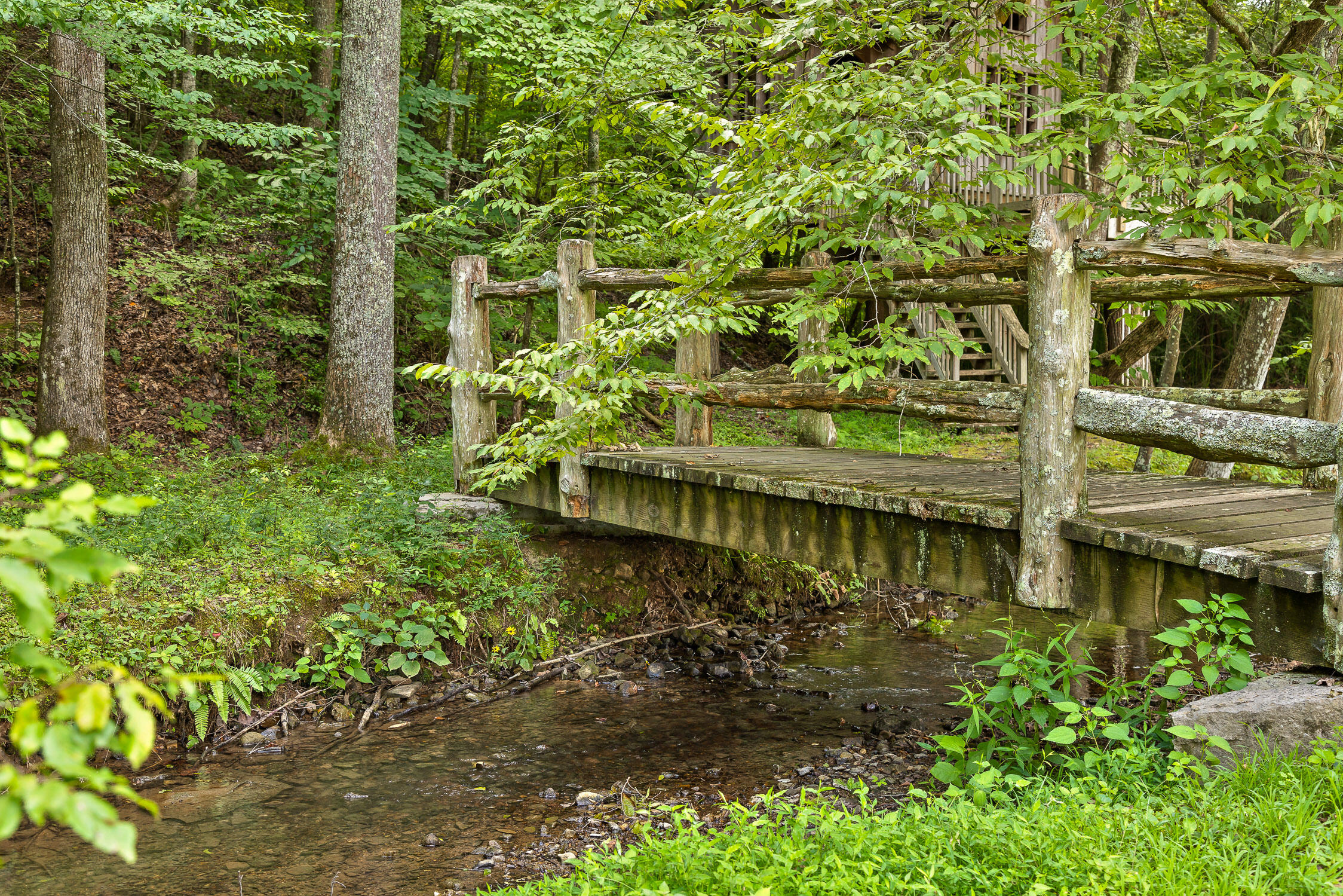 Old Mill Creek Circle #35, Chickamauga, Georgia image 16