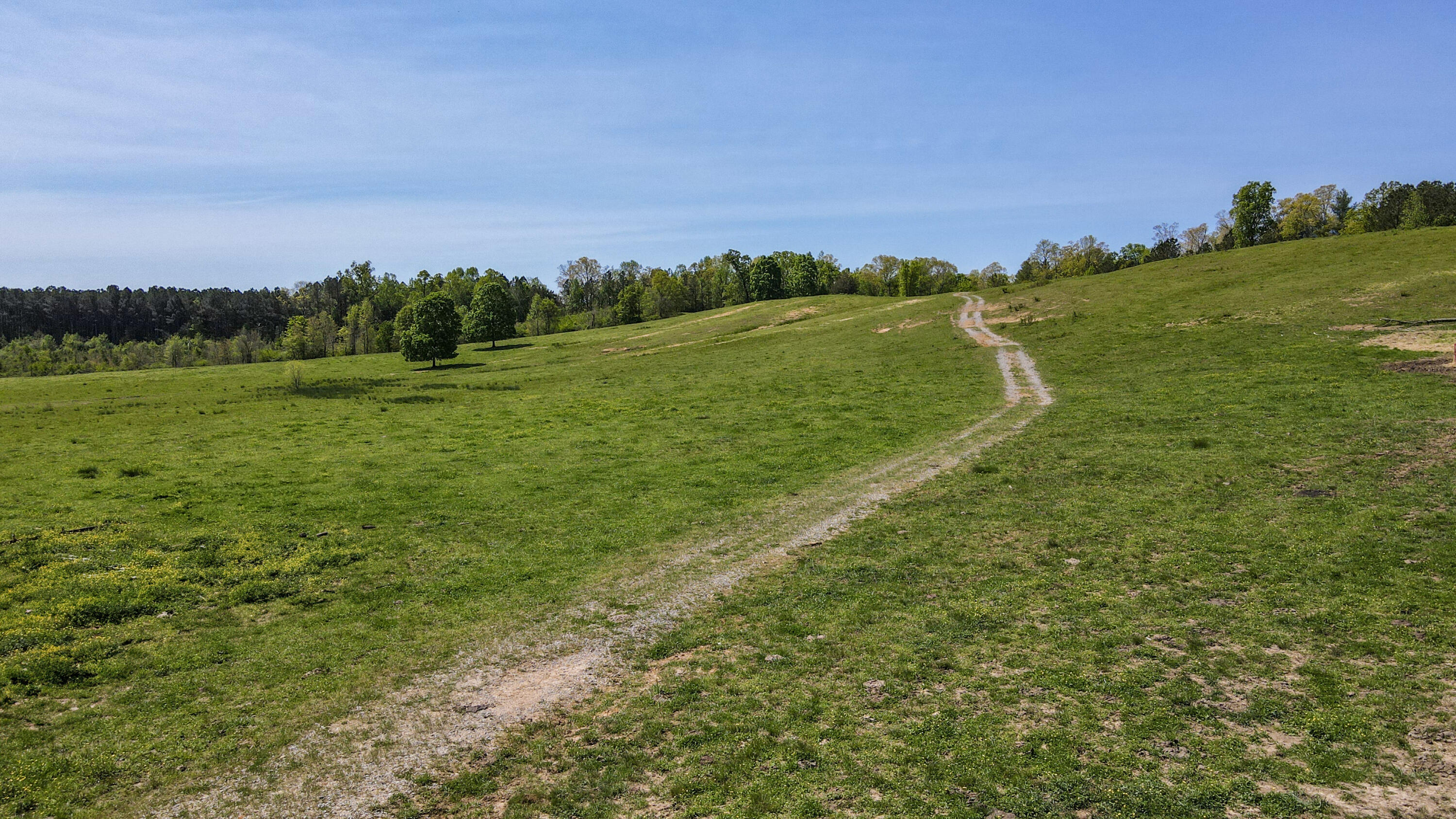 137.6 Acre Melton Road, Old Fort, Tennessee image 13
