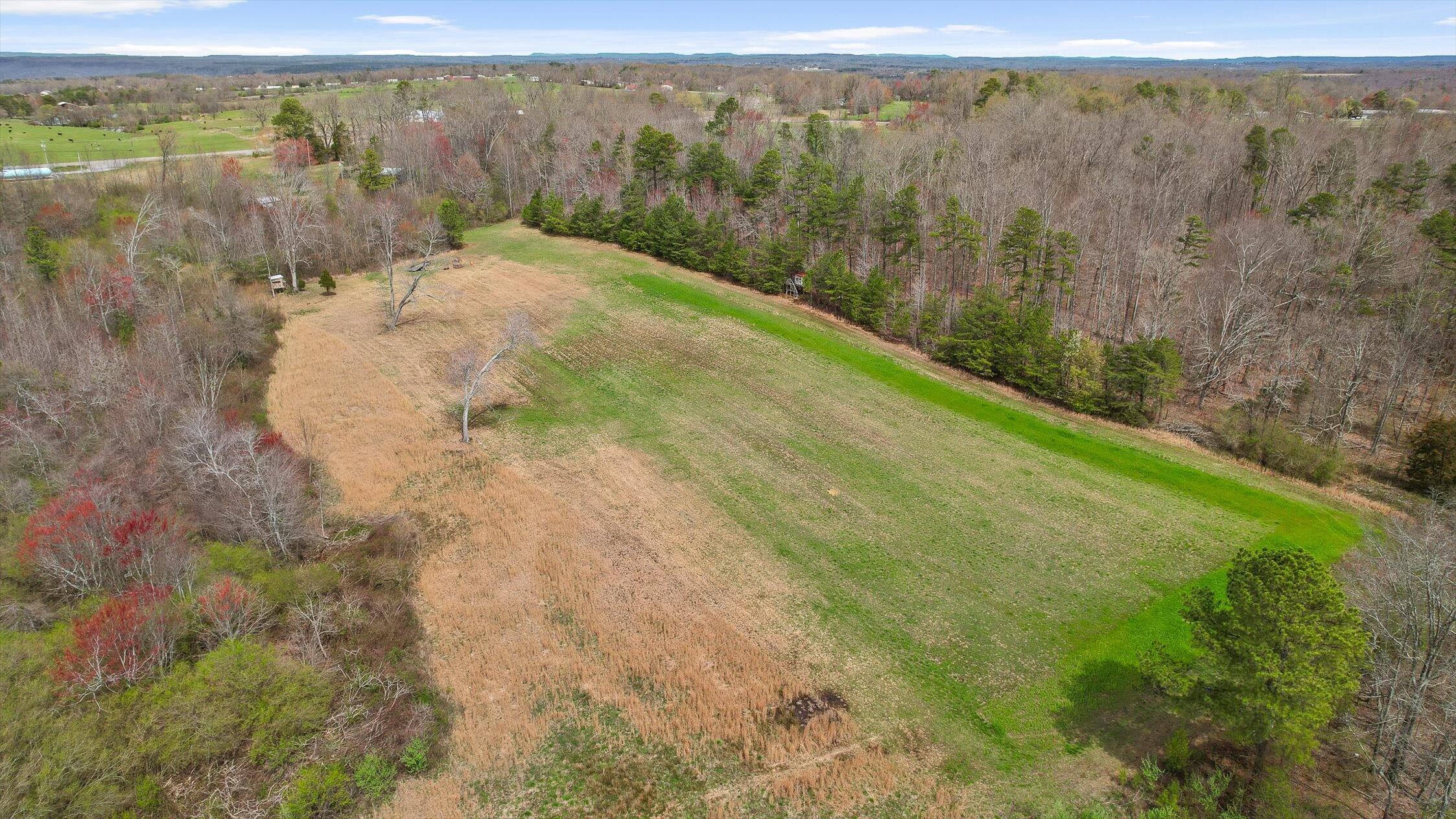 25052 Alabama Highway 71, Flat Rock, Alabama image 32