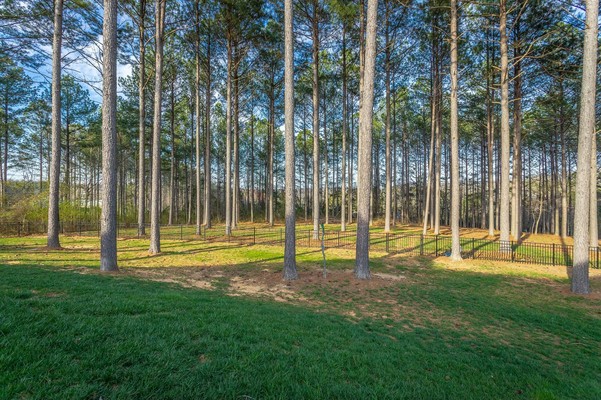 12073 Mare Court, Soddy Daisy, Tennessee image 9